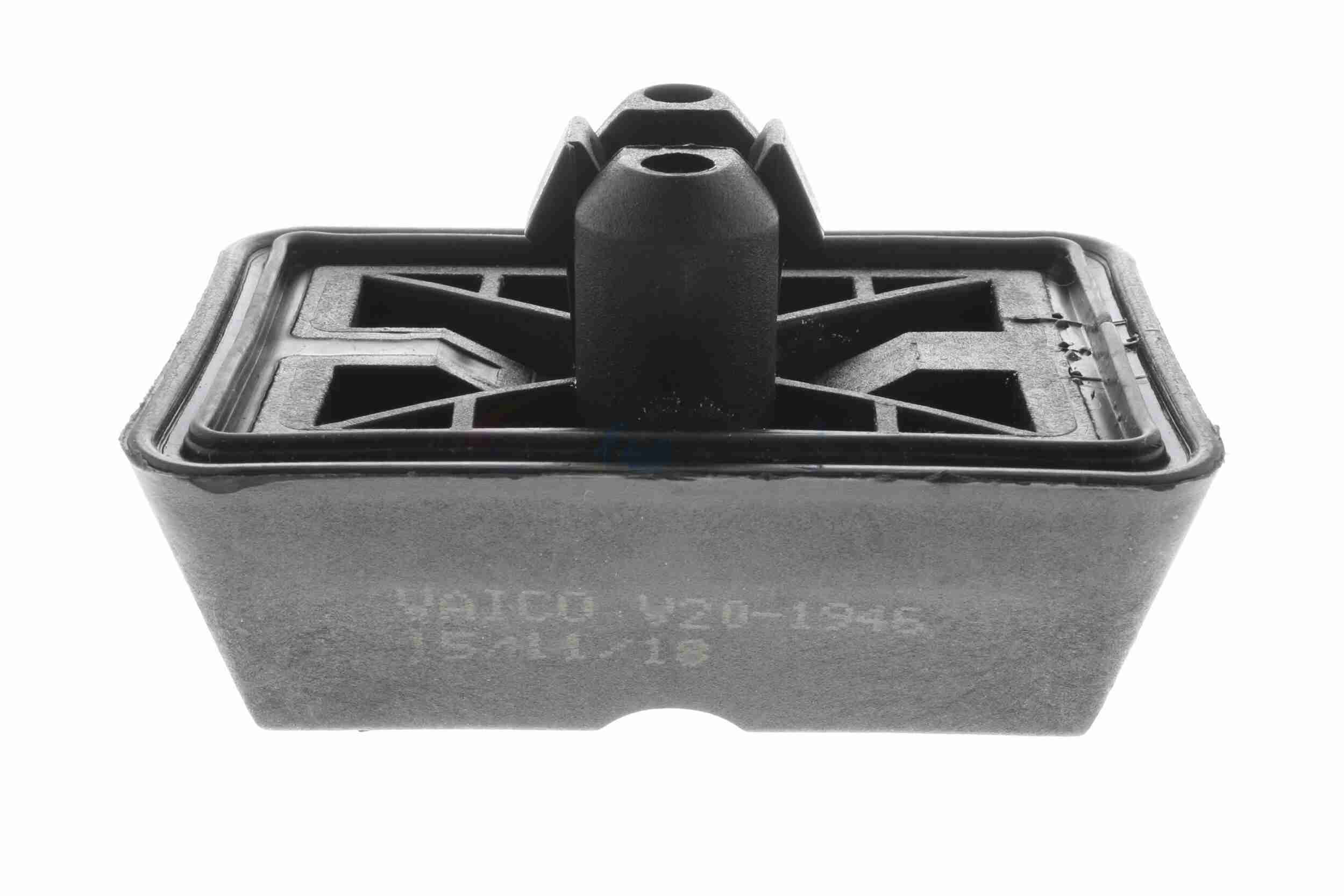 Vaico Kriksteun V20-1946