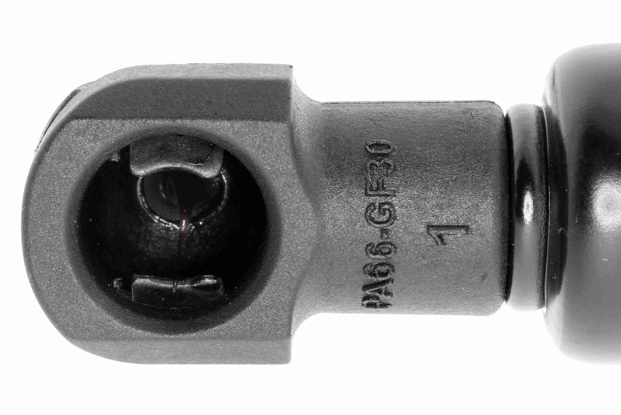 Vaico Gasveer, kofferruimte V20-2054