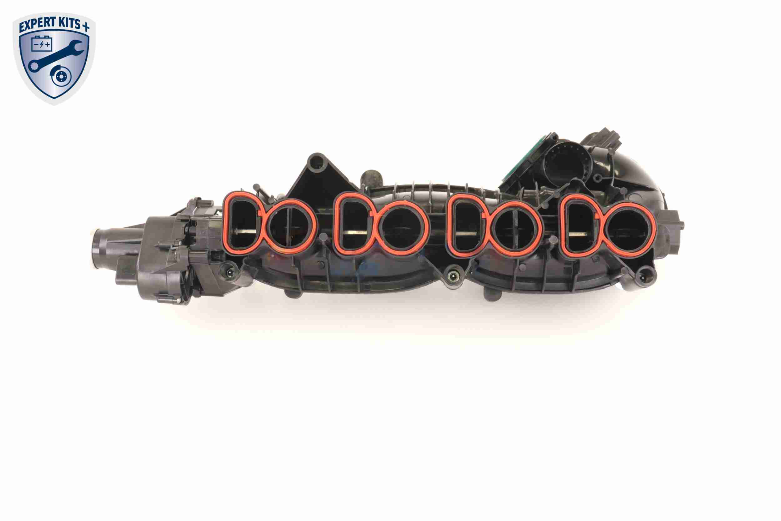 Vaico Zuigbuismodule V20-2175