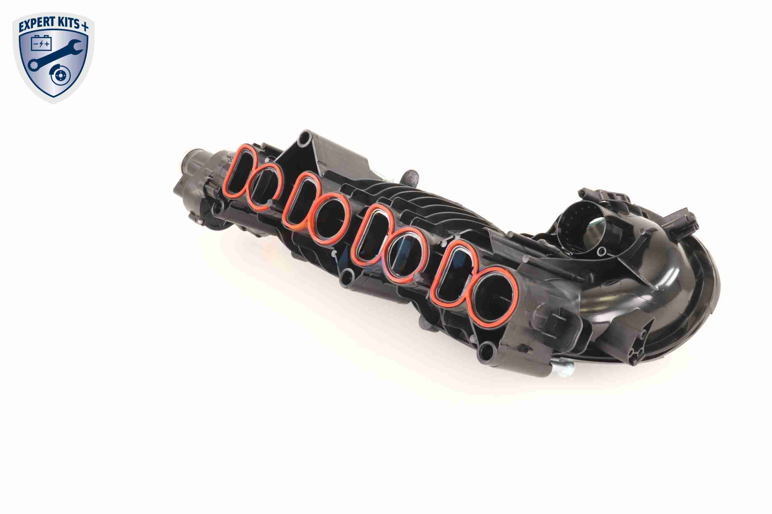 Vaico Zuigbuismodule V20-2175