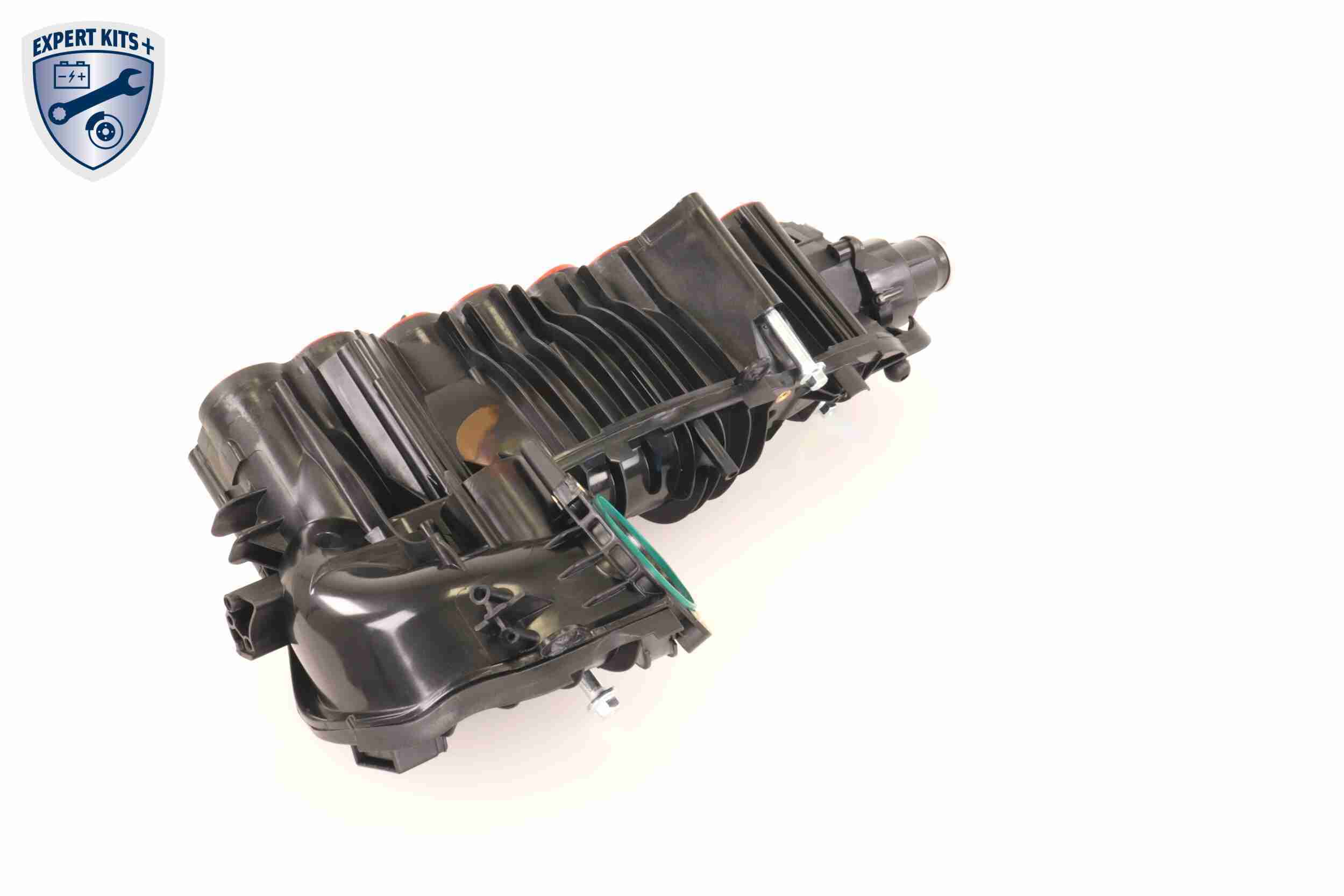 Vaico Zuigbuismodule V20-2175