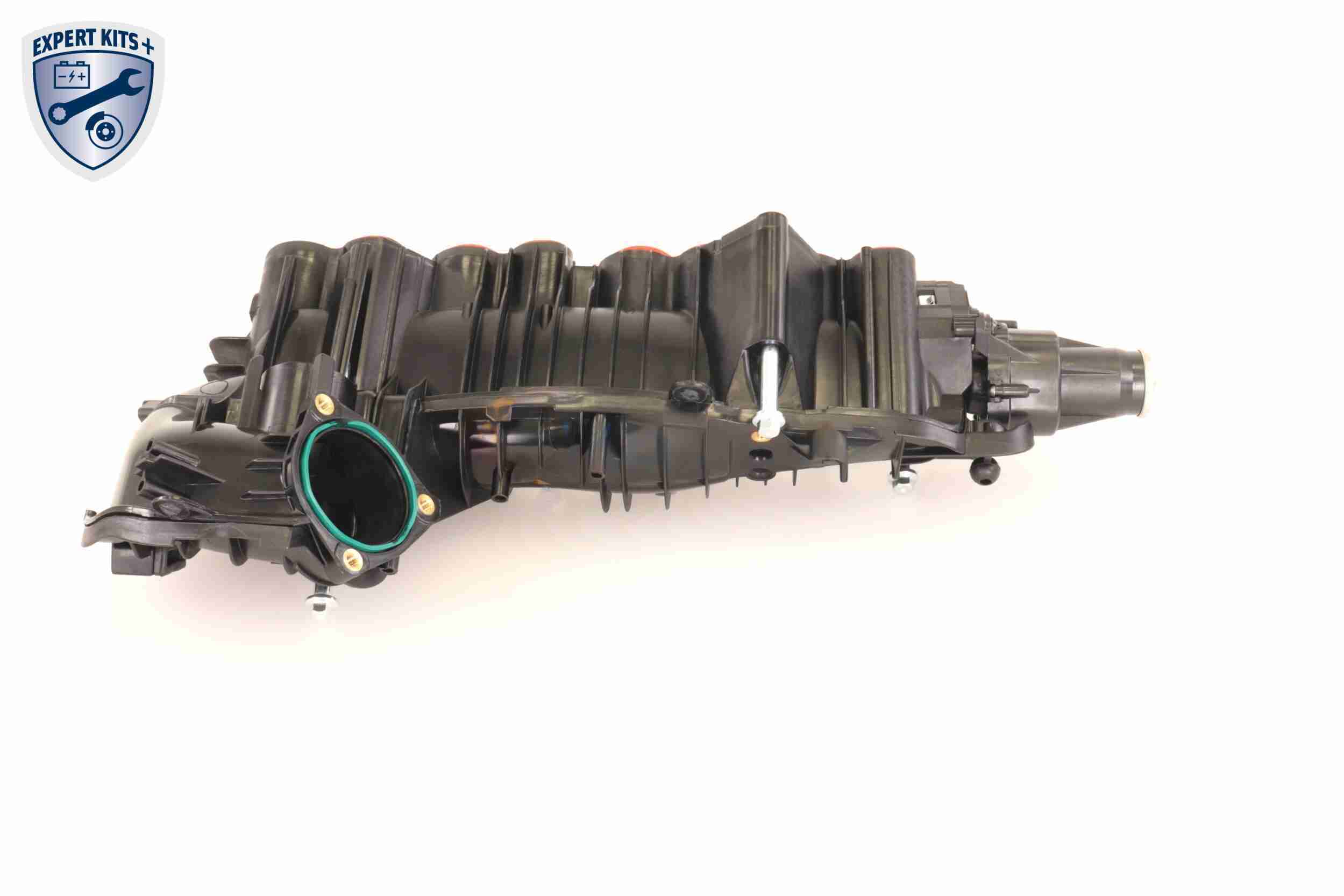 Vaico Zuigbuismodule V20-2175