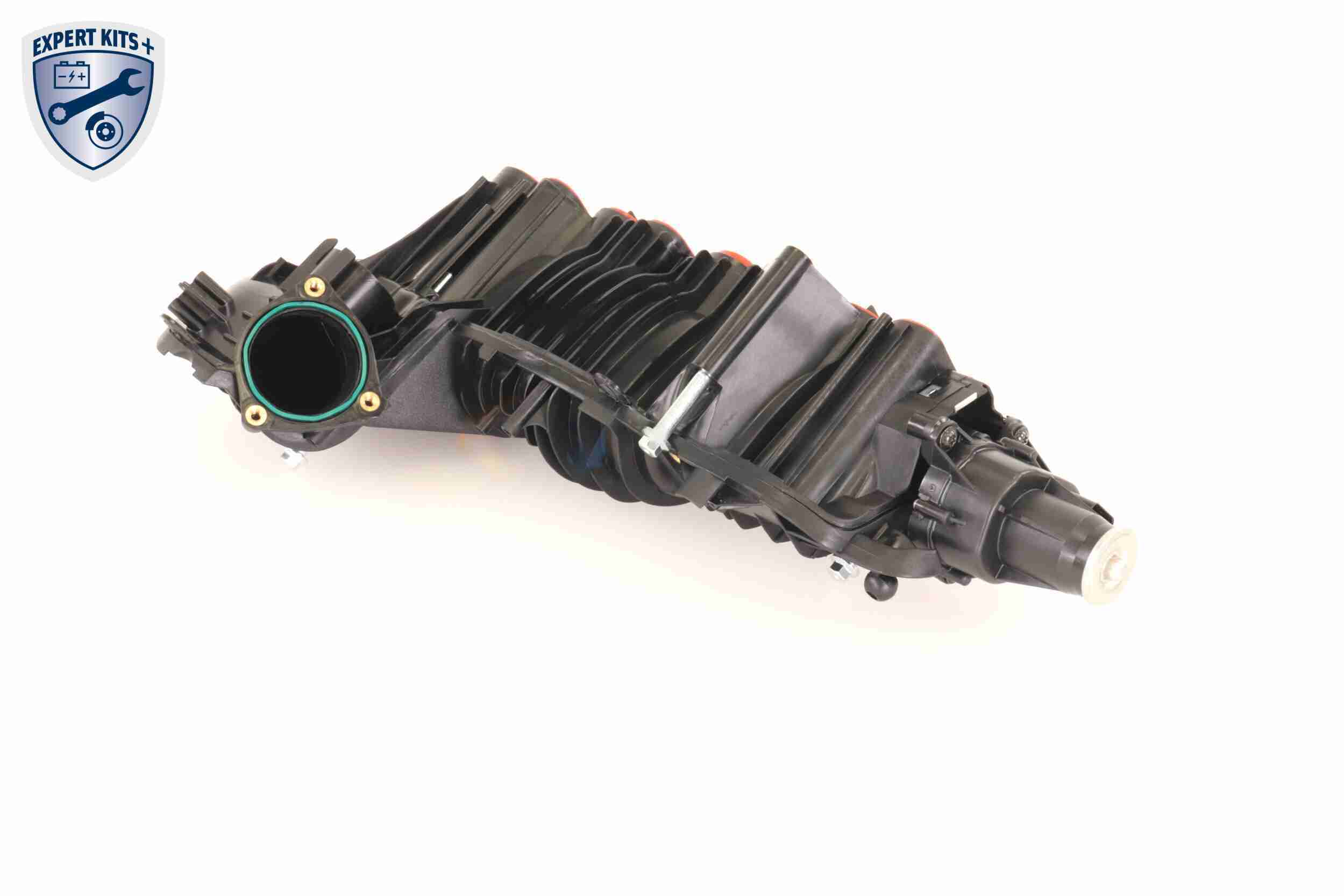 Vaico Zuigbuismodule V20-2175