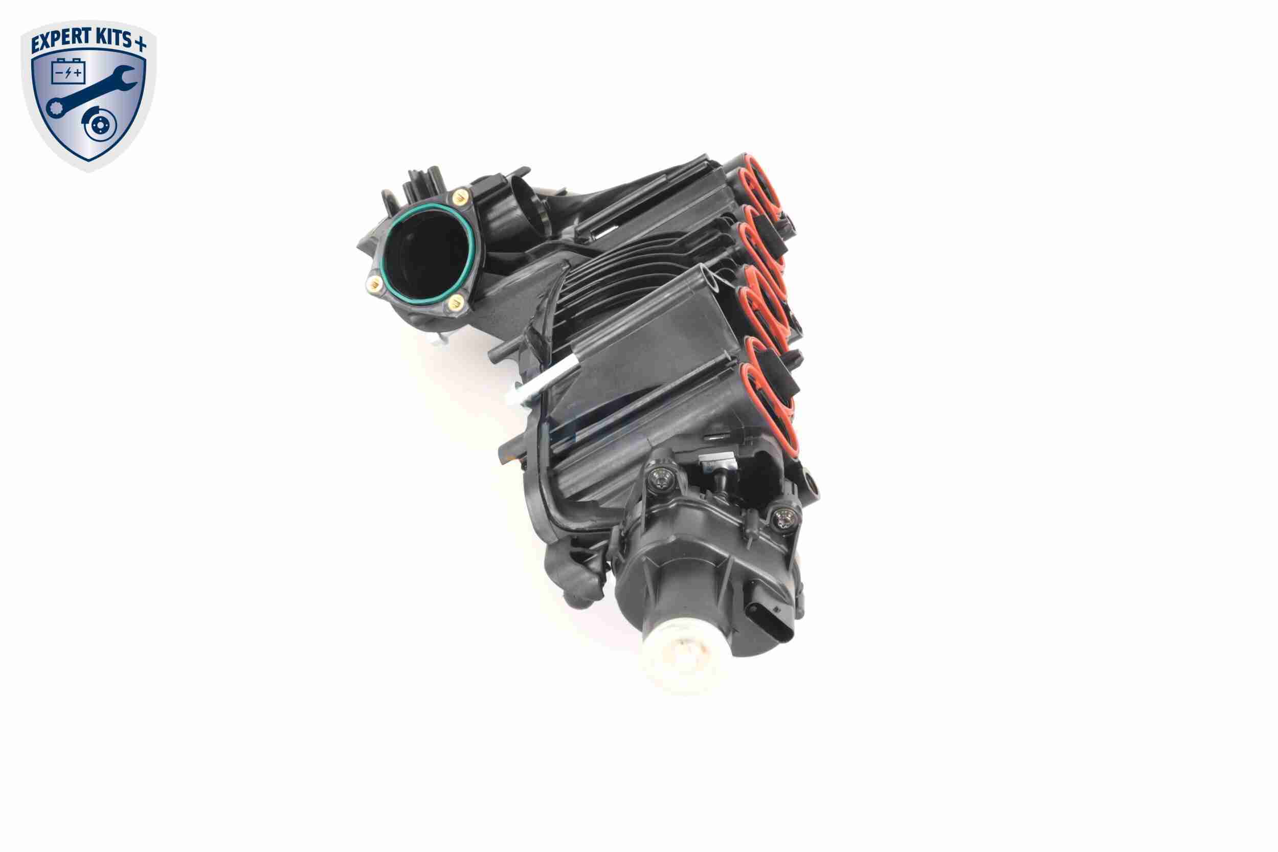 Vaico Zuigbuismodule V20-2175