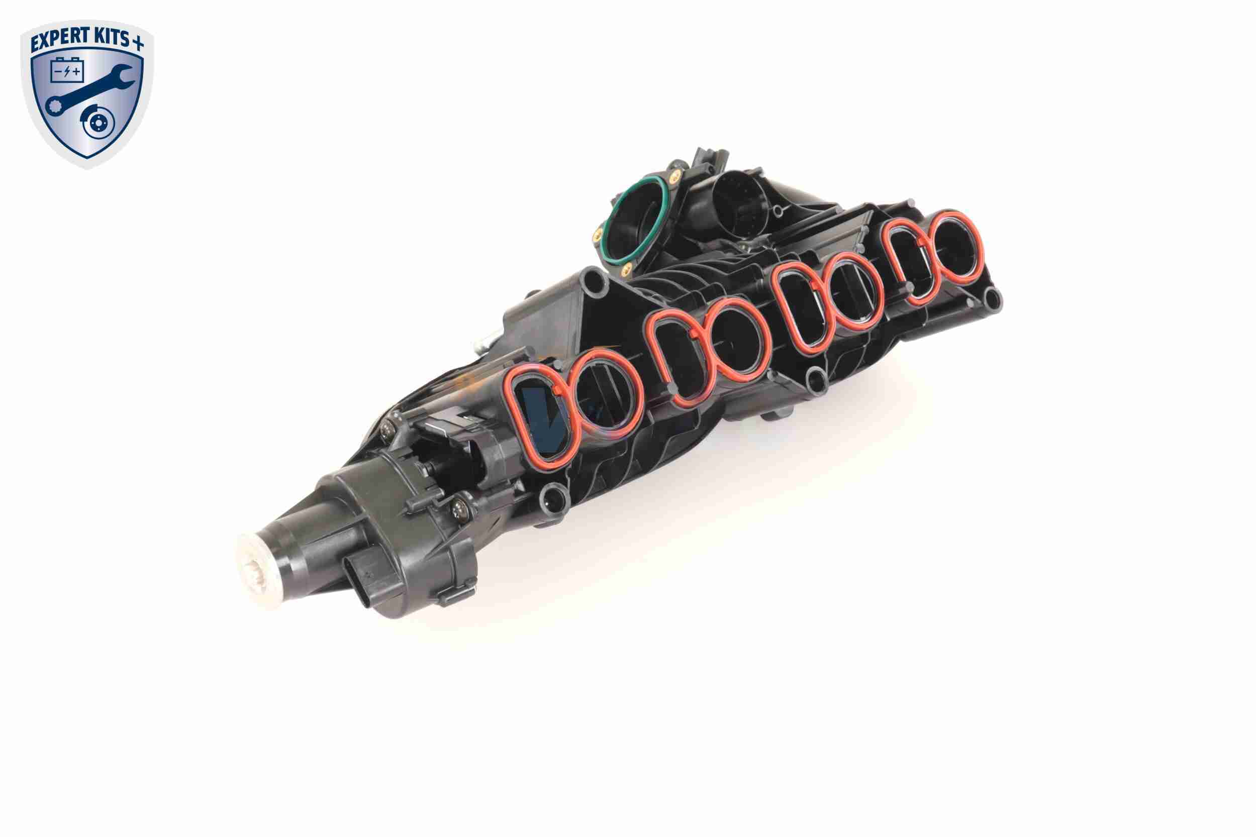 Vaico Zuigbuismodule V20-2175