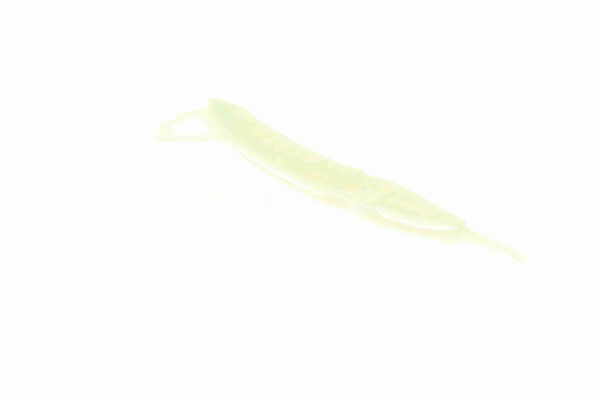 Vaico Distributieketting geleiderailvoering V20-3135