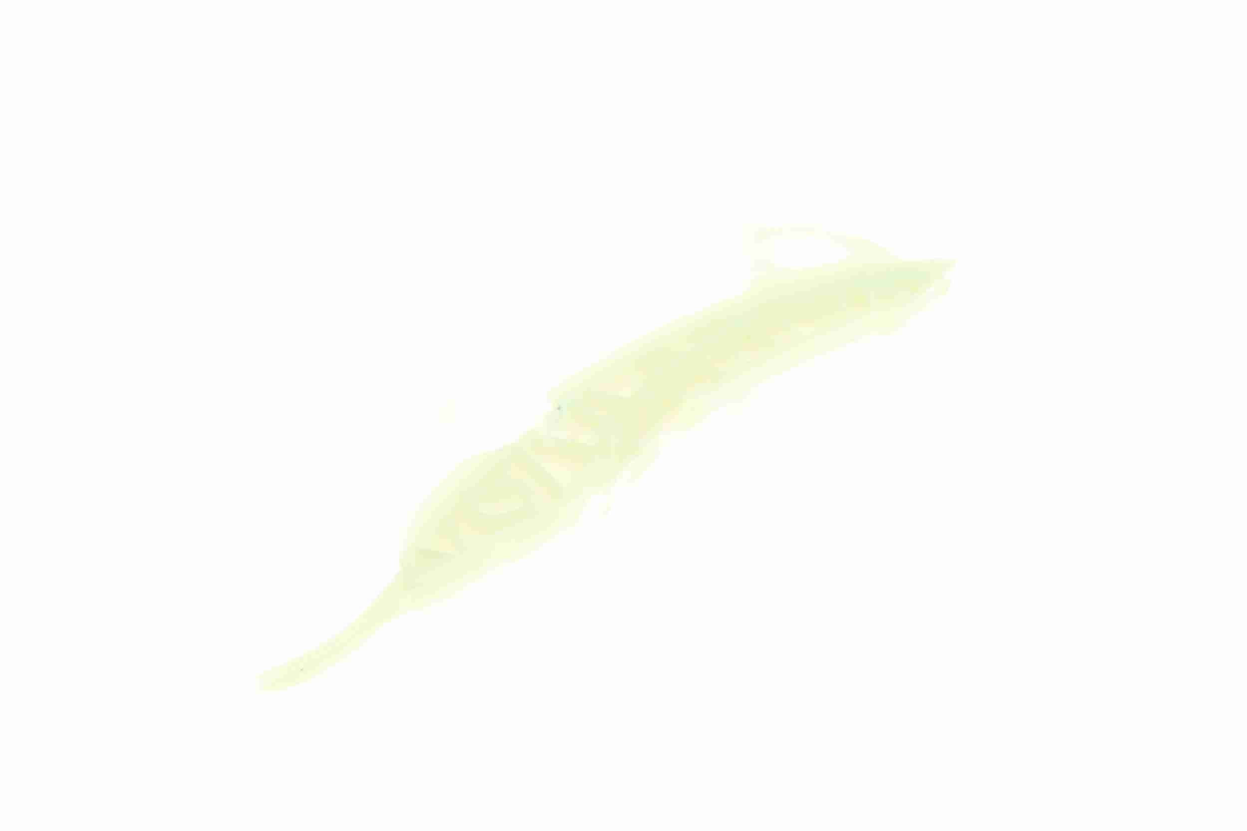 Vaico Distributieketting geleiderailvoering V20-3135