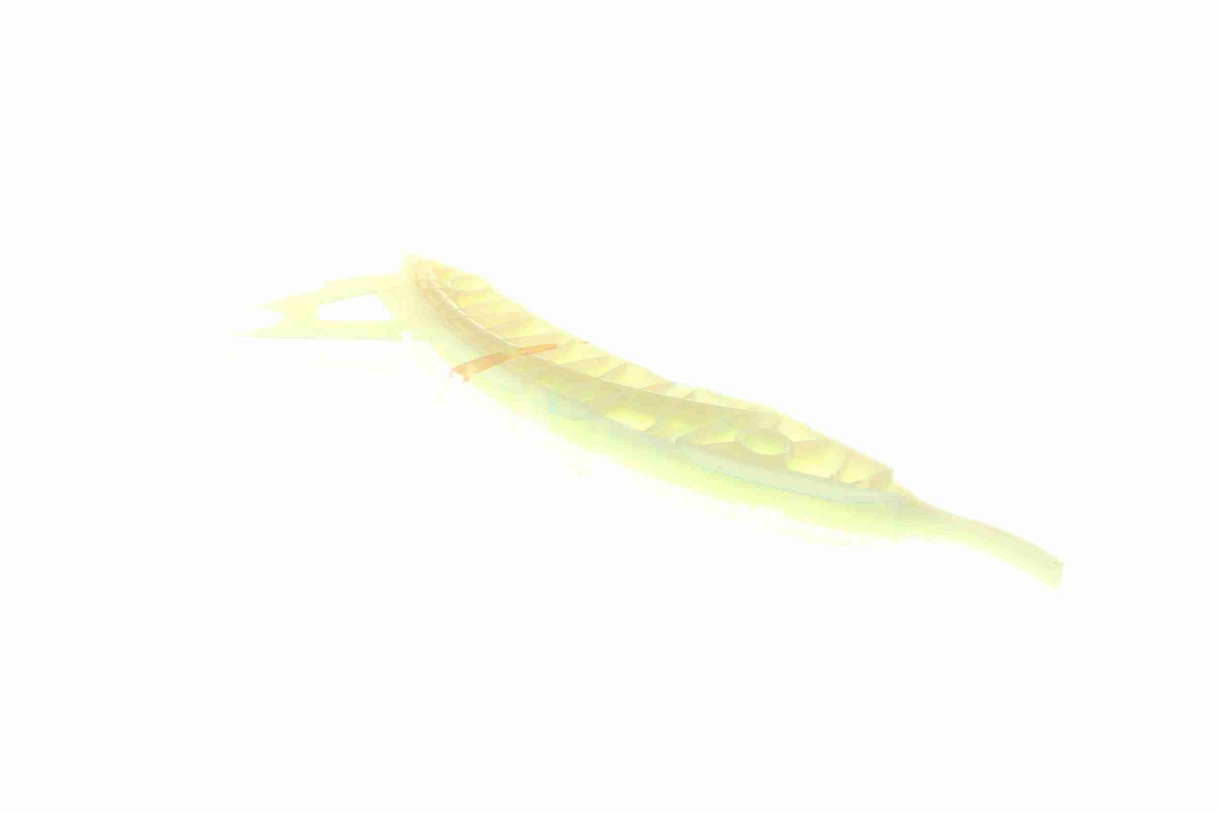 Vaico Distributieketting geleiderailvoering V20-3144