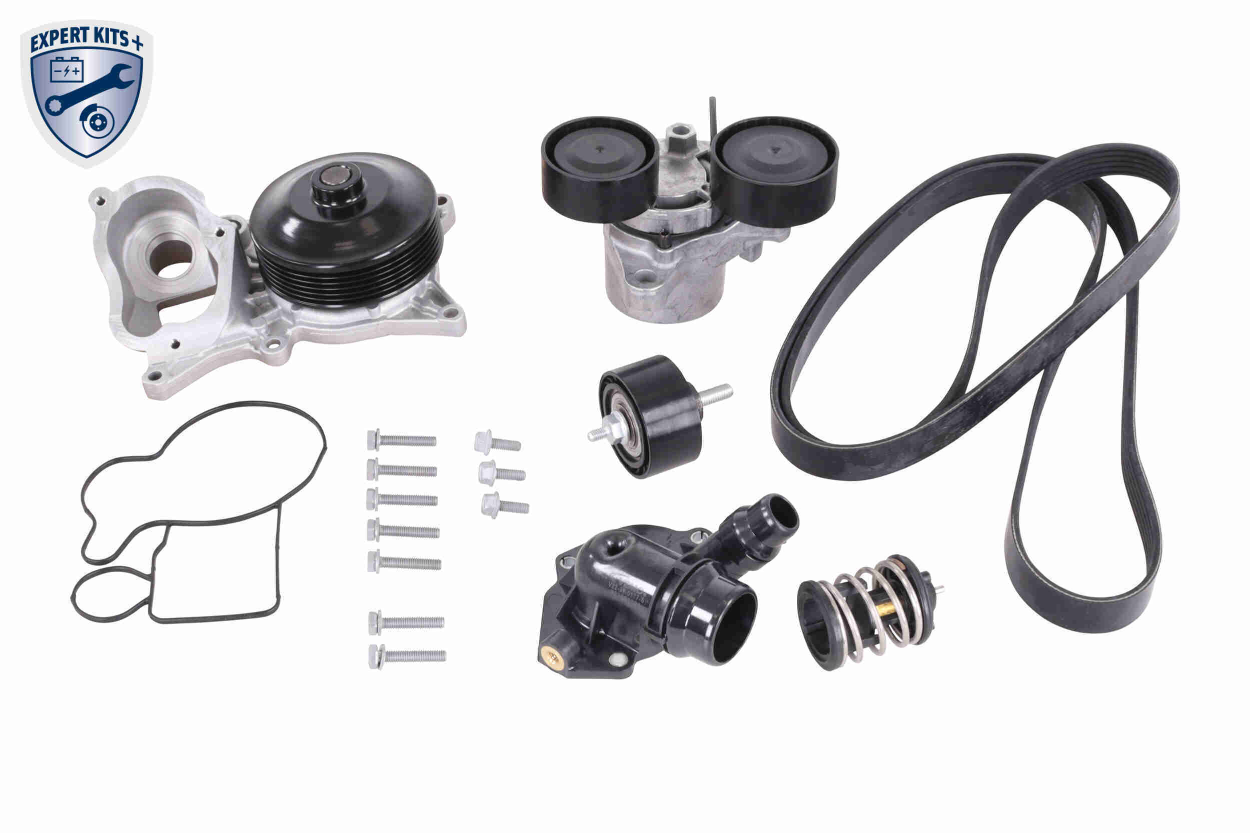 Vaico Distributieriem kit inclusief waterpomp V20-50102-BEK