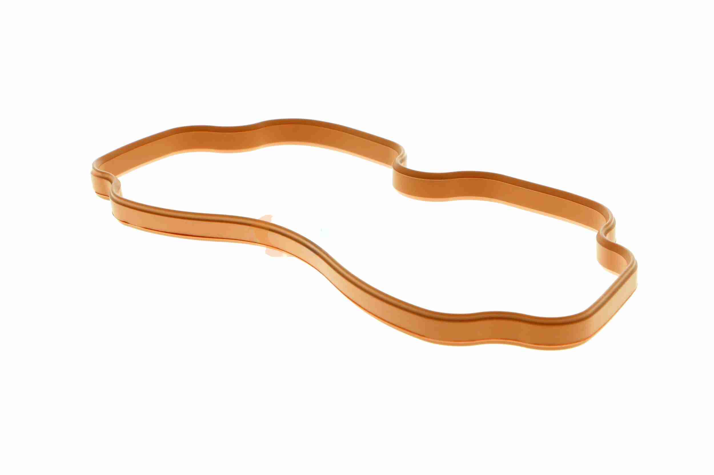 Vaico Inlaatspruitstukpakking V20-9770