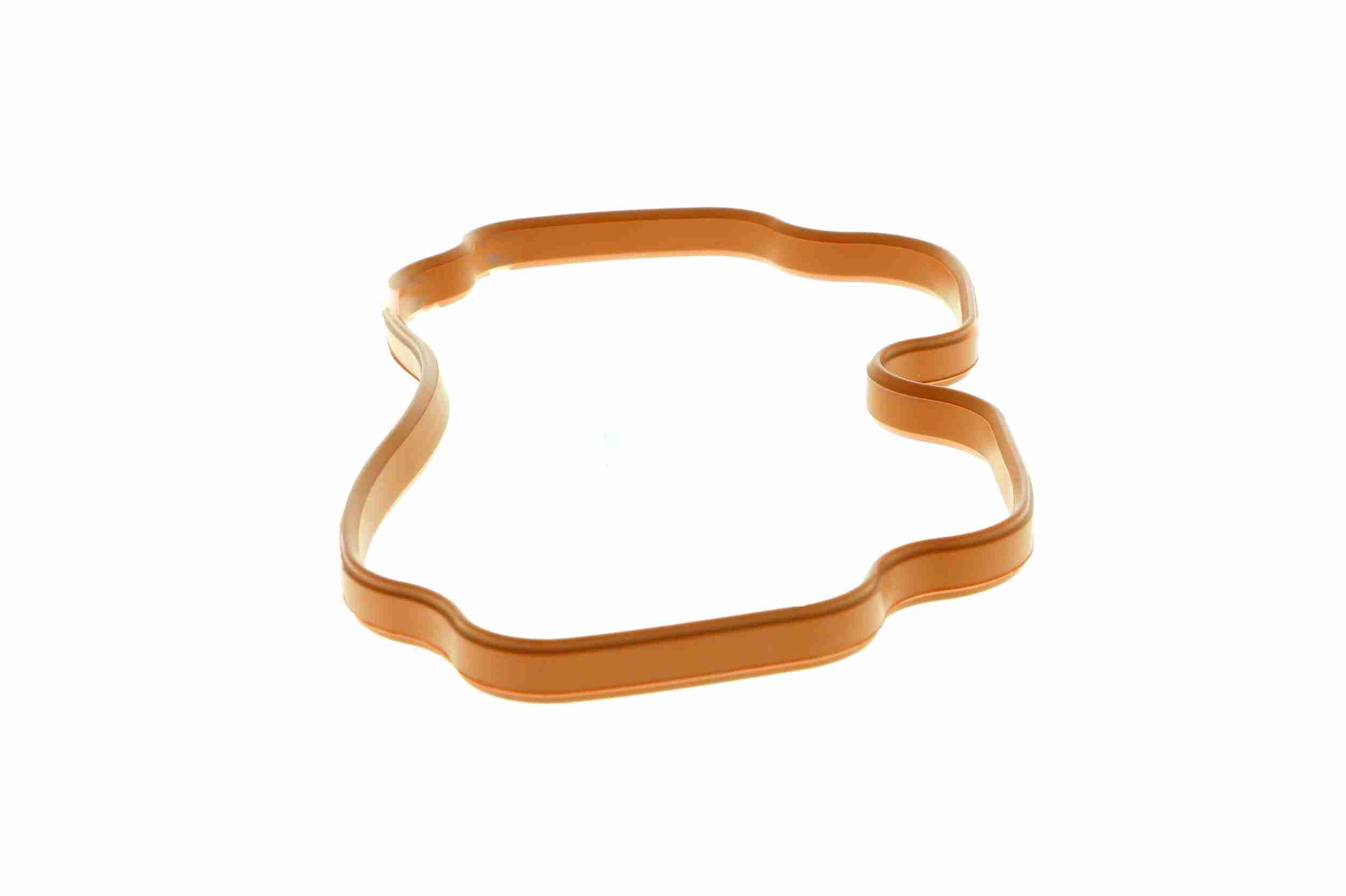 Vaico Inlaatspruitstukpakking V20-9770