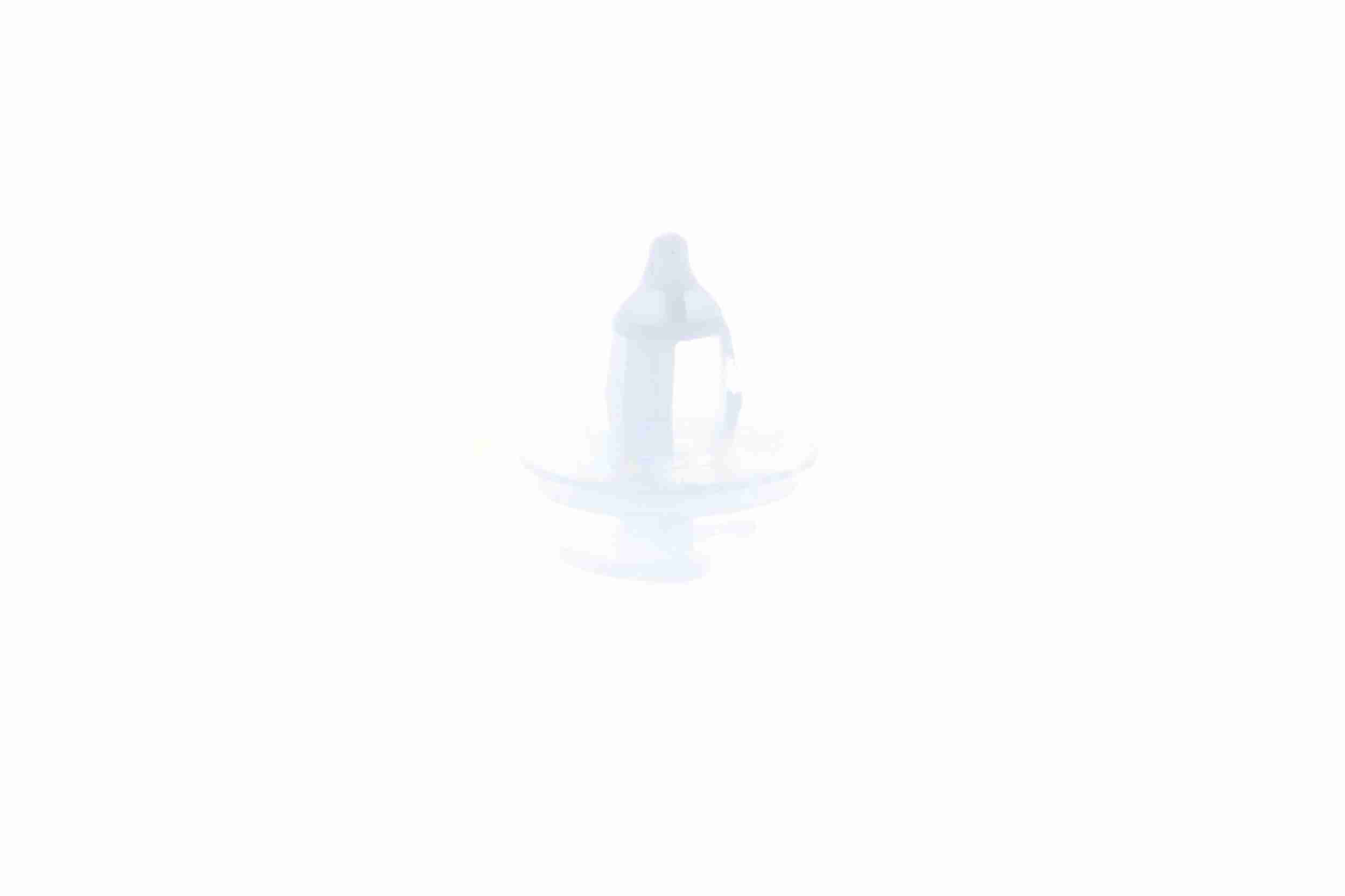 Vaico Clip V22-0197