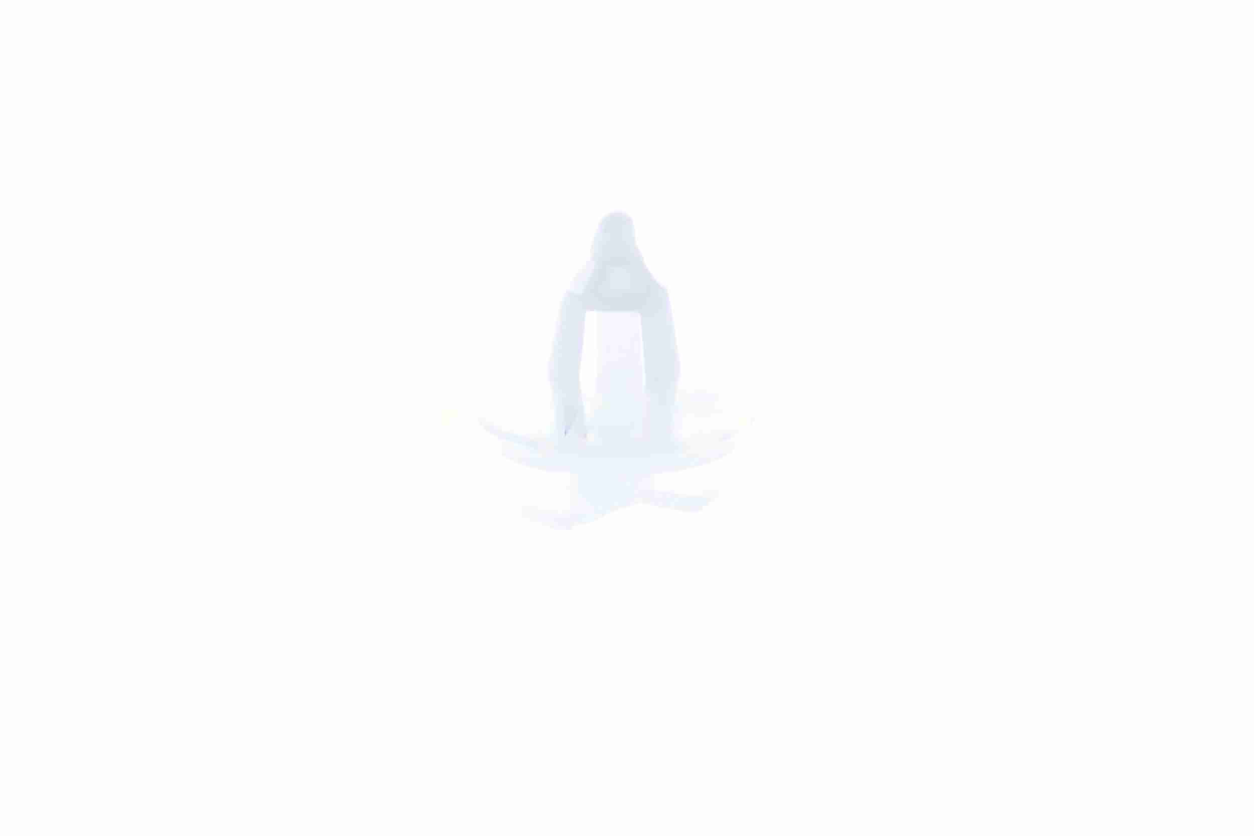Vaico Clip V22-0197