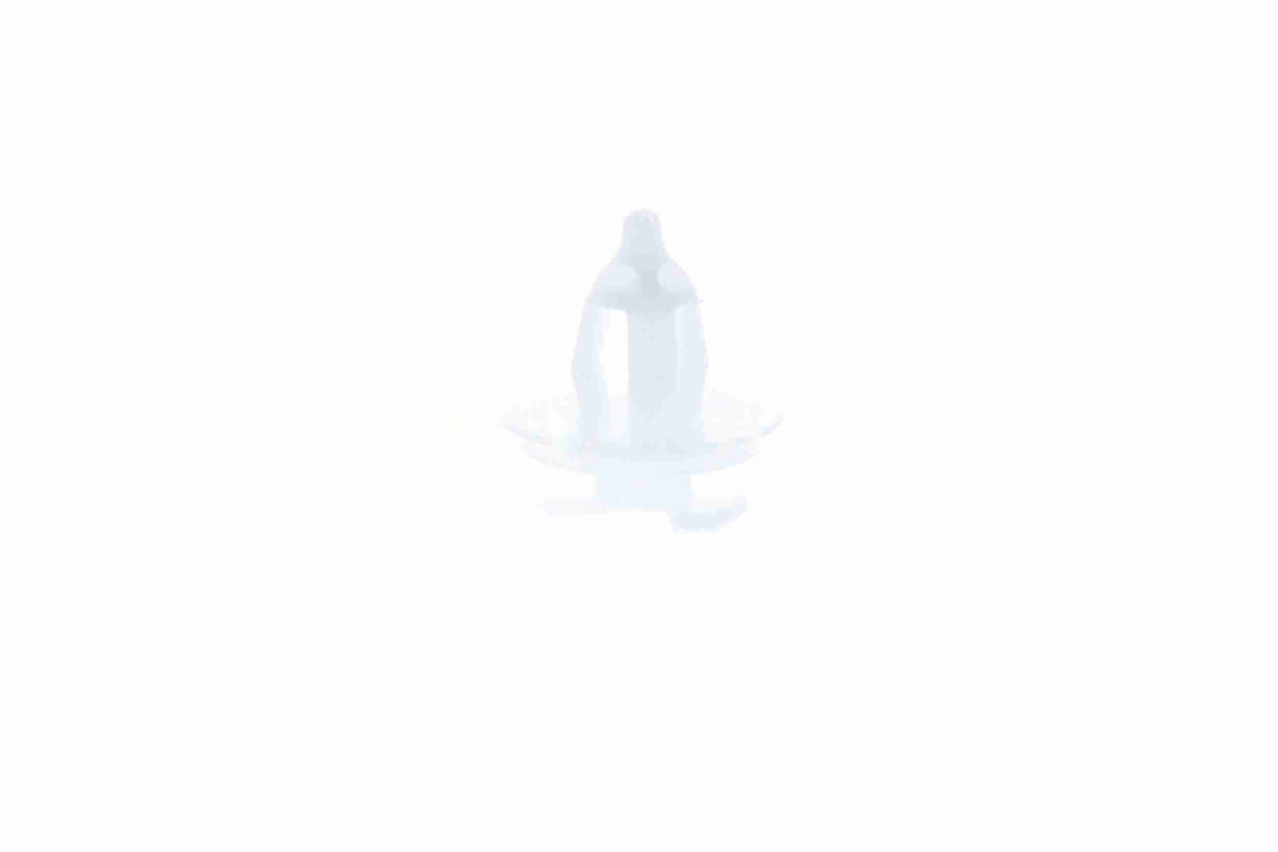 Vaico Clip V22-0197