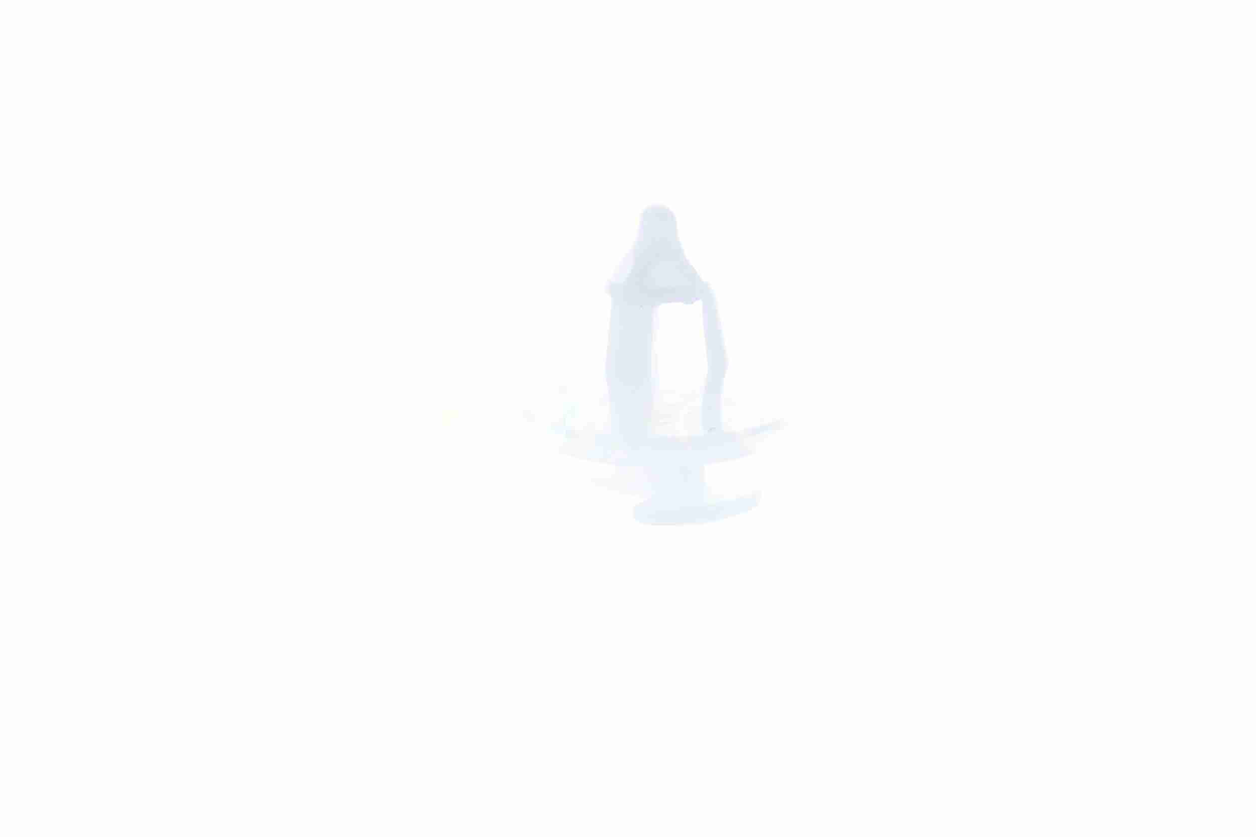 Vaico Clip V22-0197