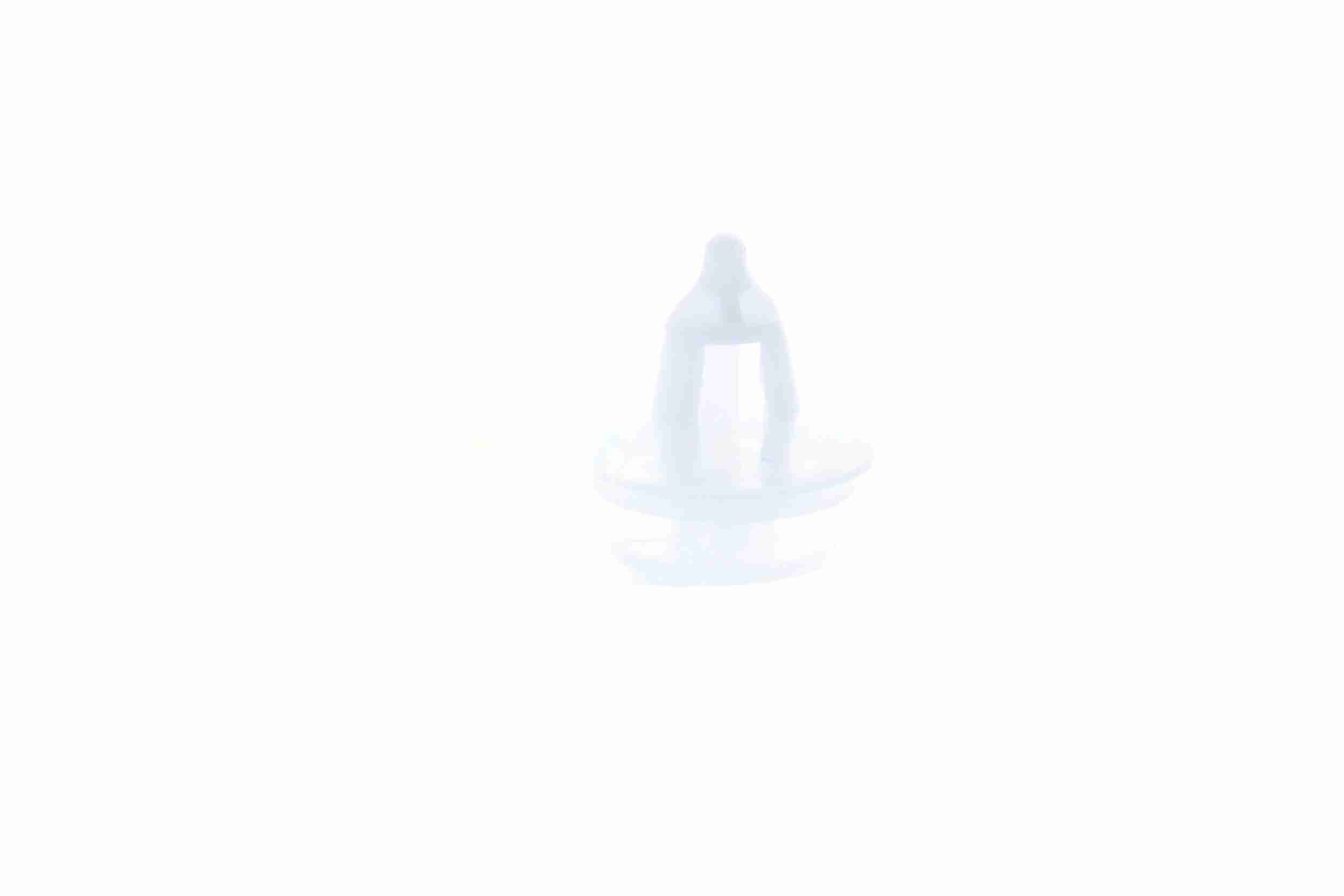 Vaico Clip V22-0197