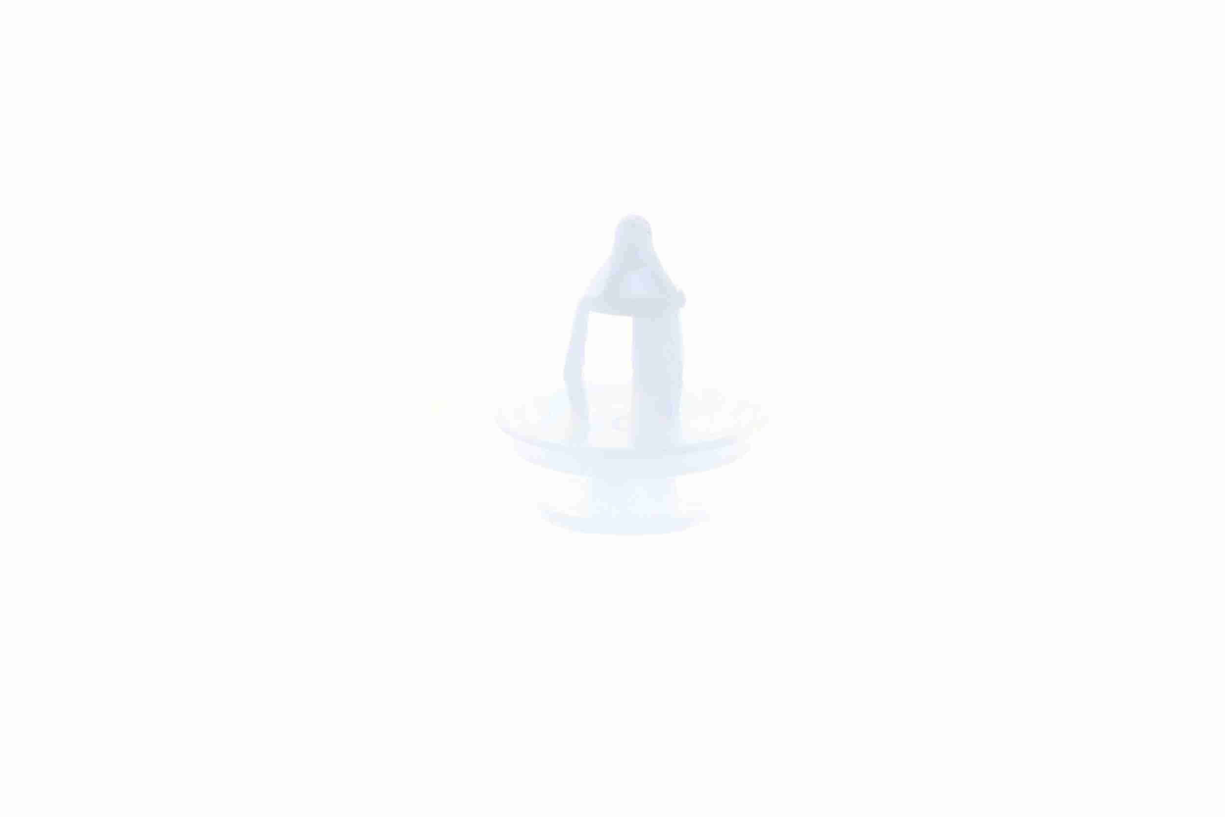 Vaico Clip V22-0197