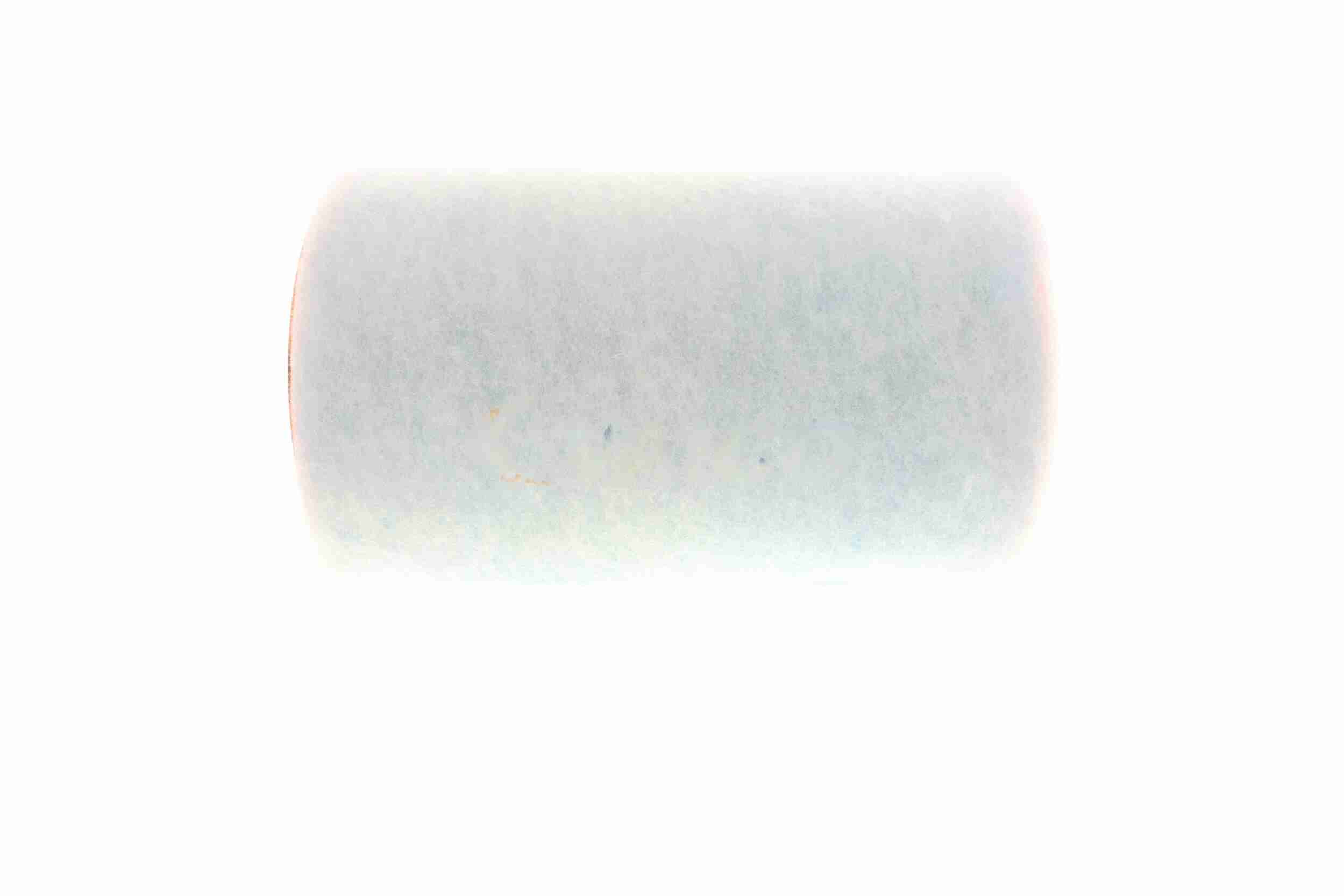 Vaico Luchtfilter V22-0367