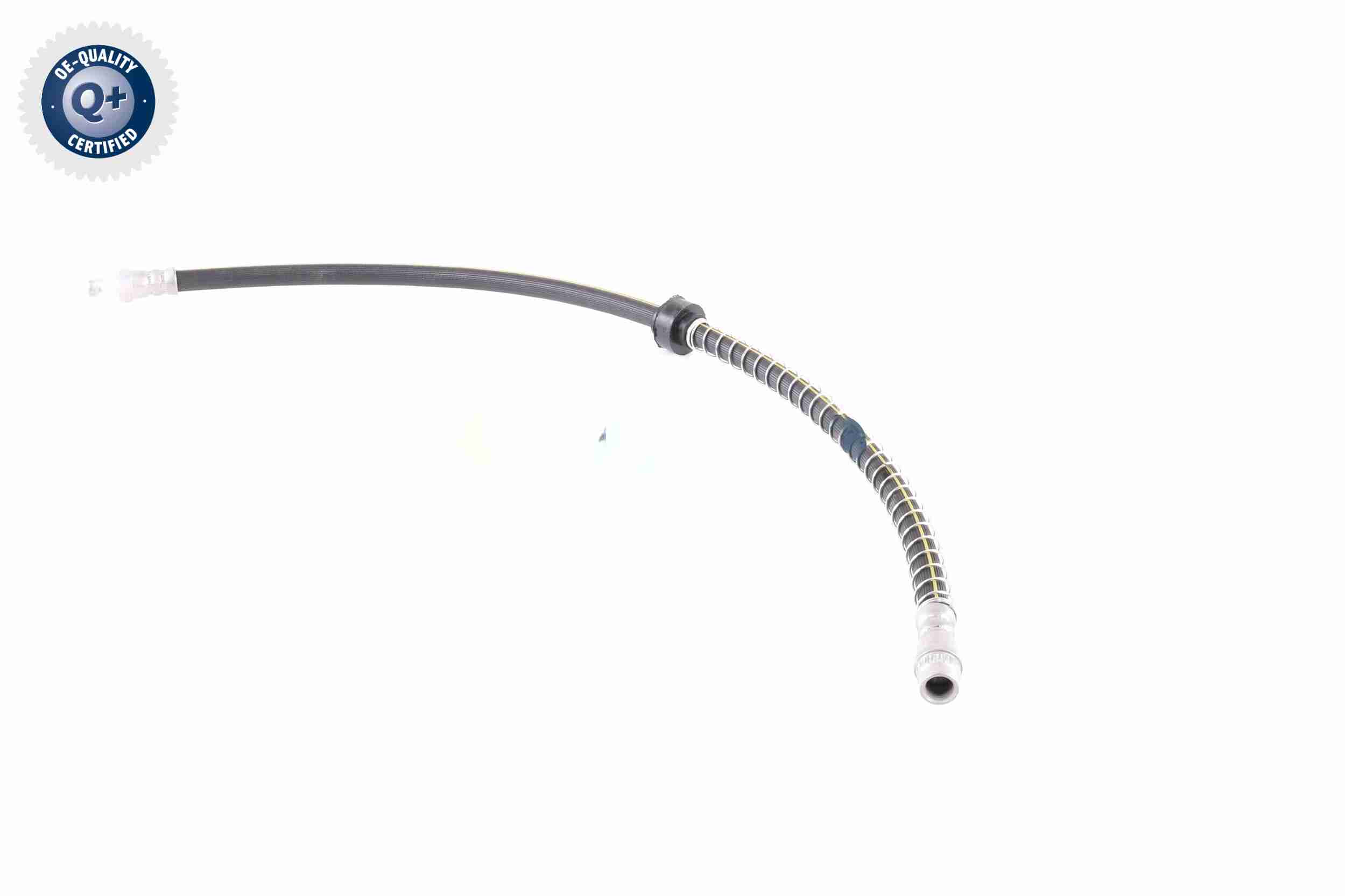 Vaico Remslang V22-1084