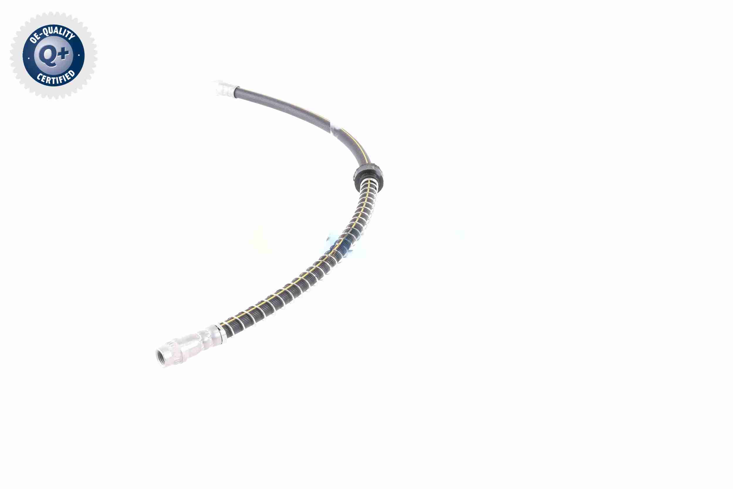 Vaico Remslang V22-1084