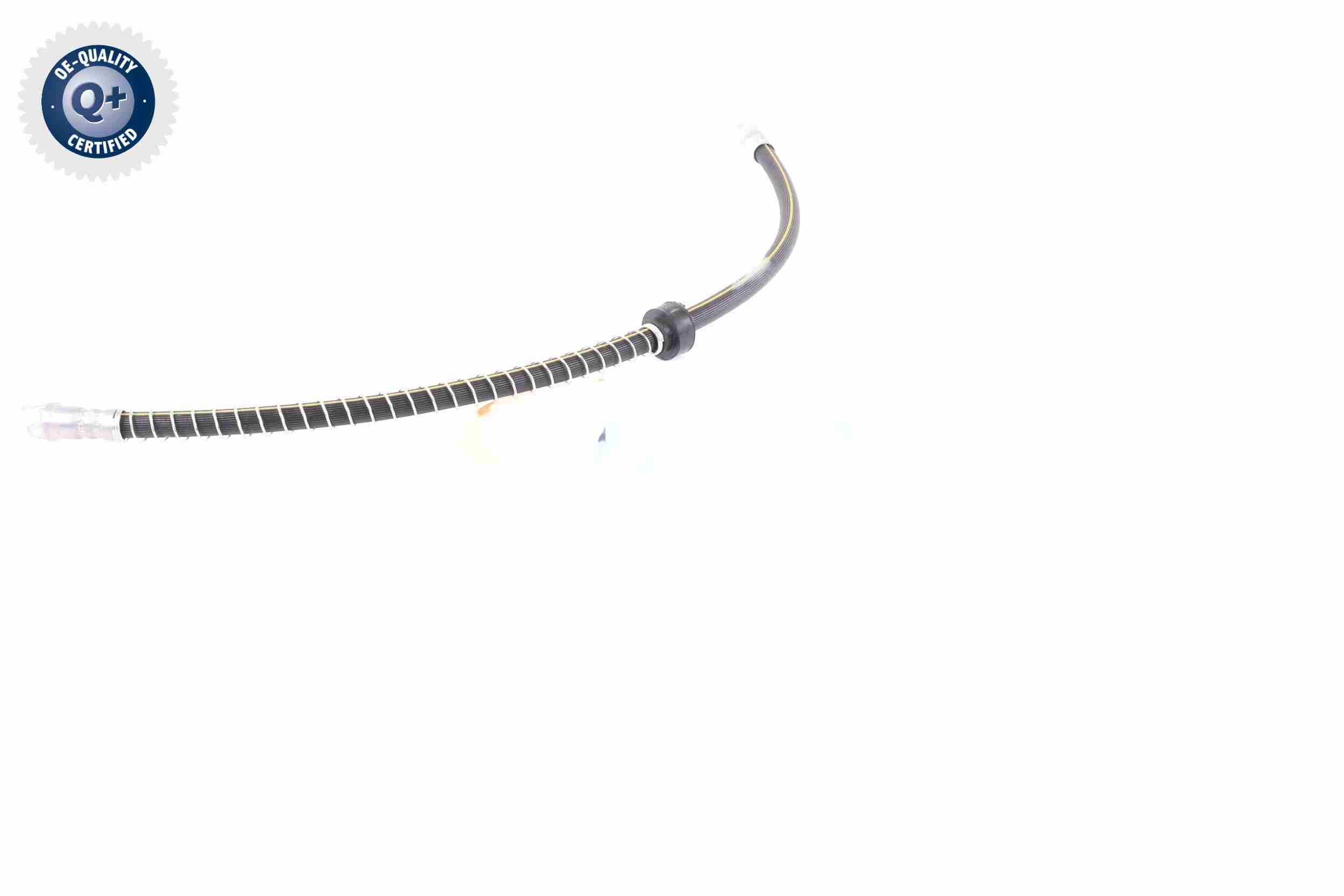 Vaico Remslang V22-1084