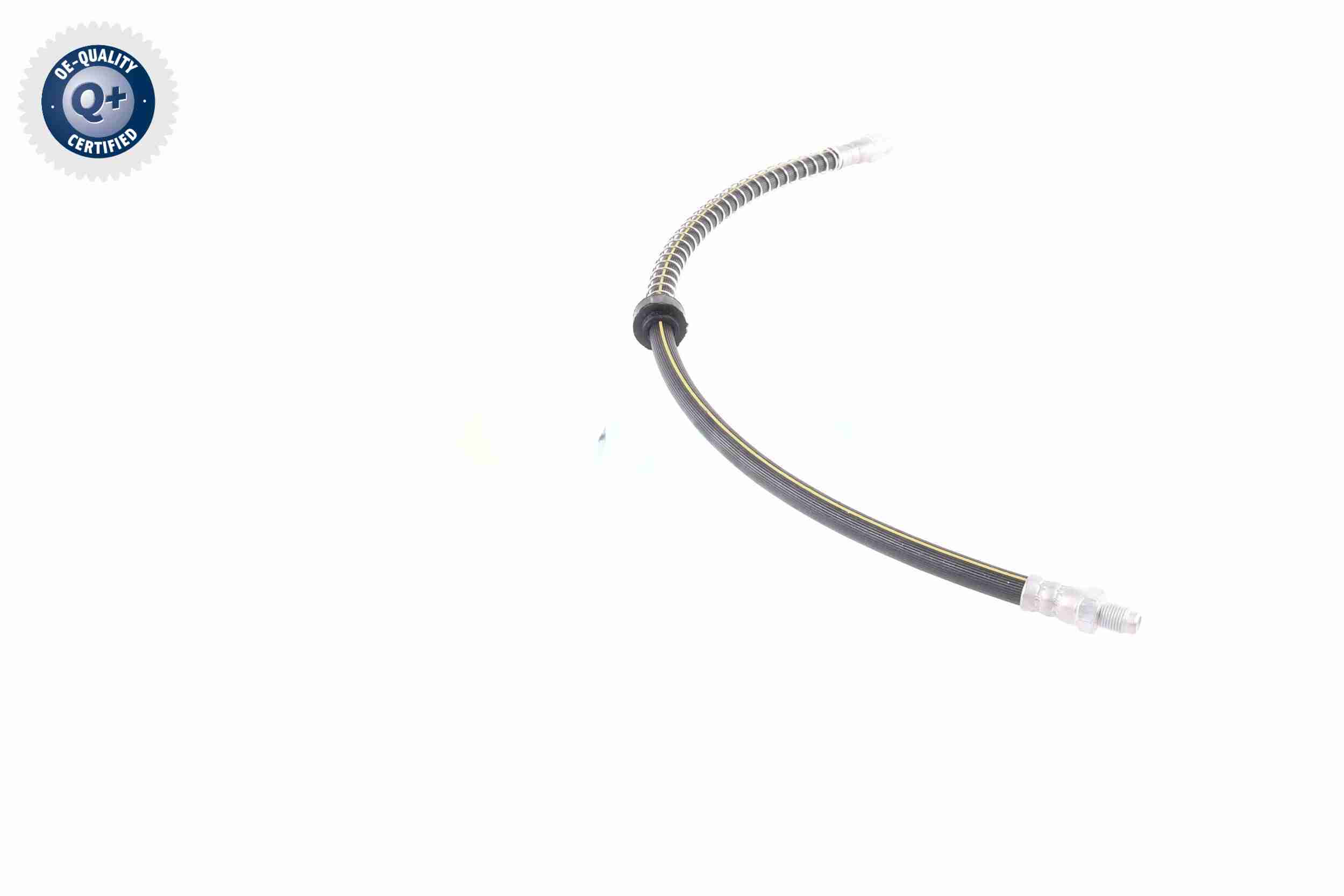 Vaico Remslang V22-1084