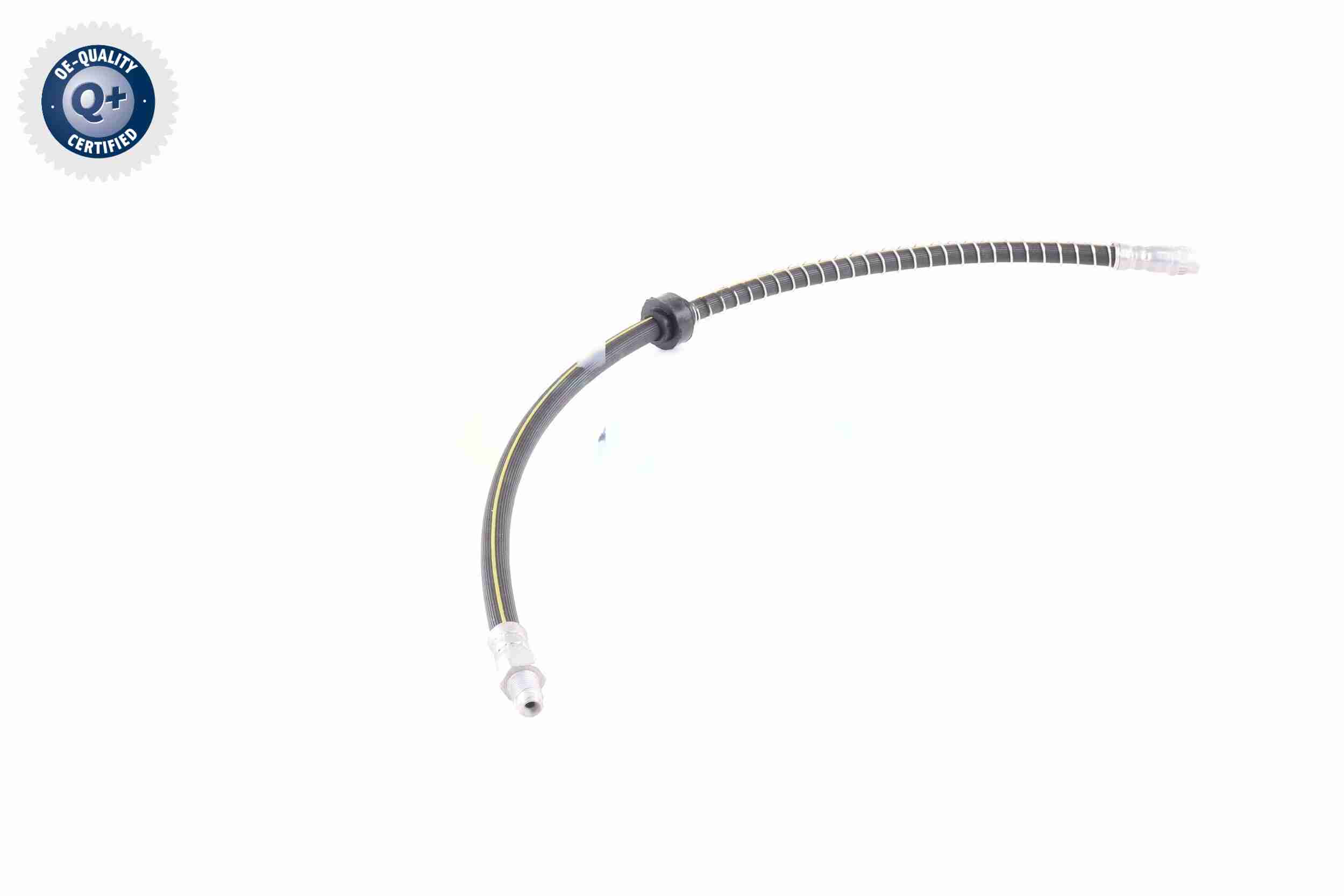 Vaico Remslang V22-1084