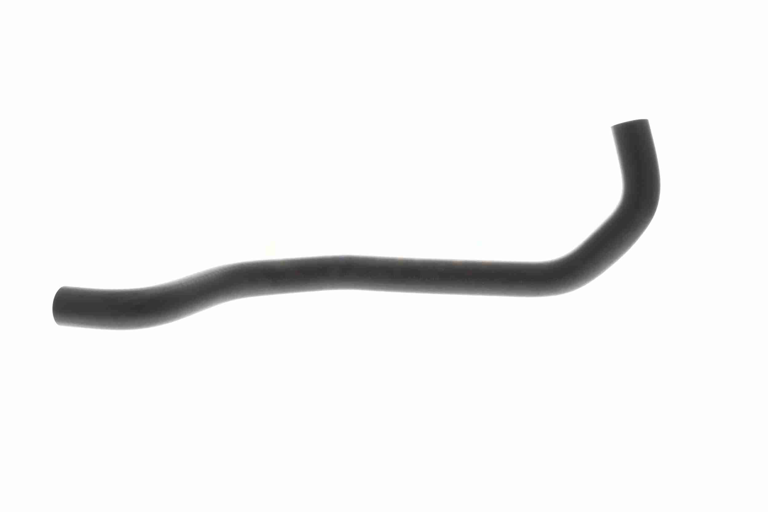 Vaico Slangen V22-1189