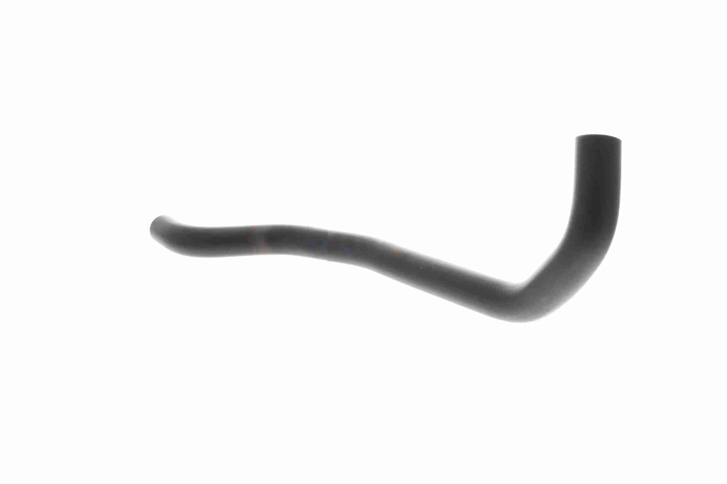 Vaico Slangen V22-1189