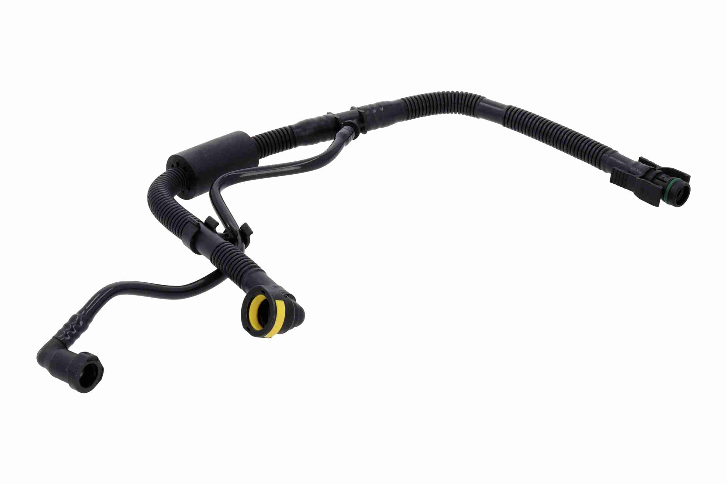 Vaico Olieslang V22-1302