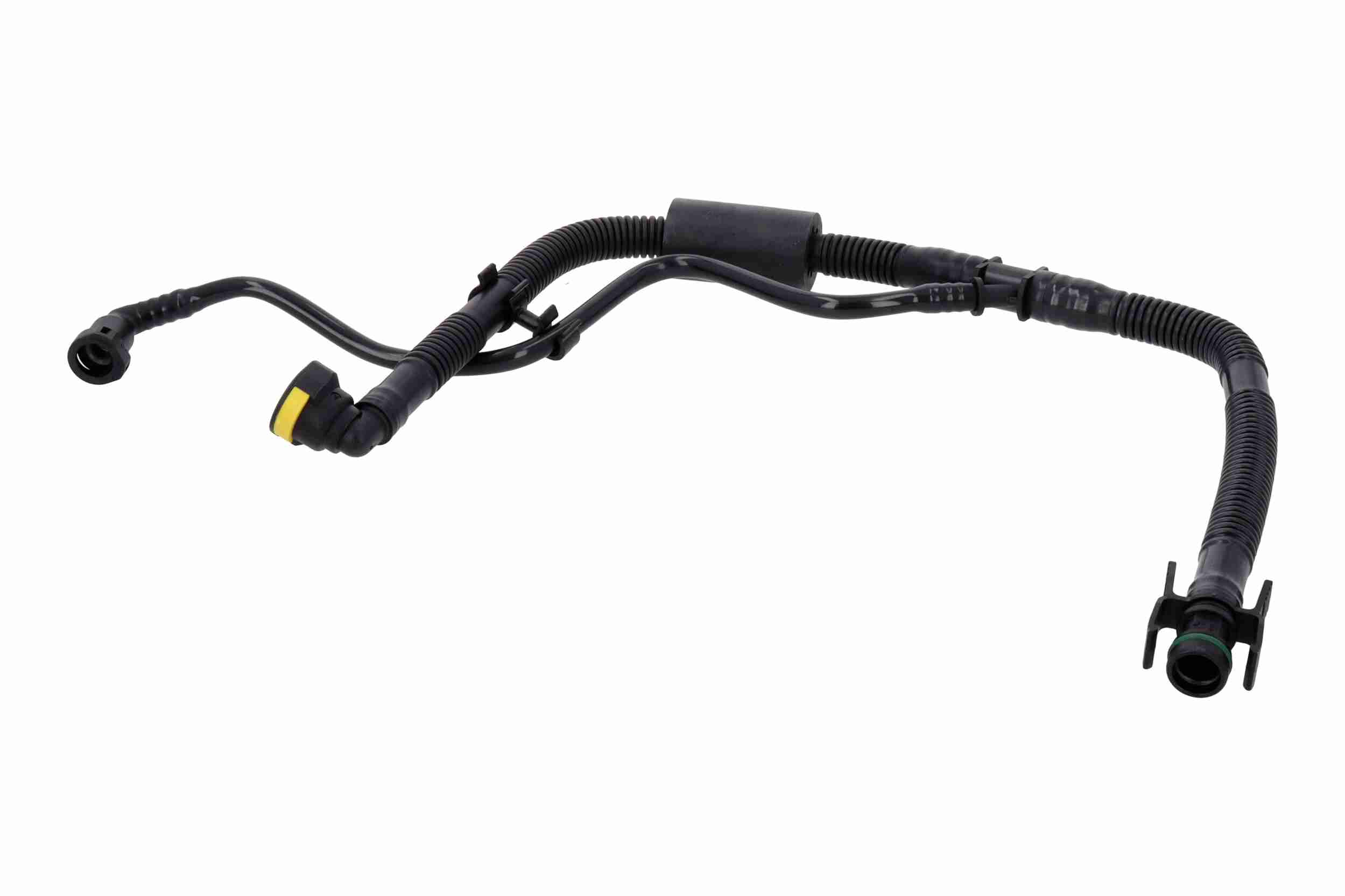 Vaico Olieslang V22-1302