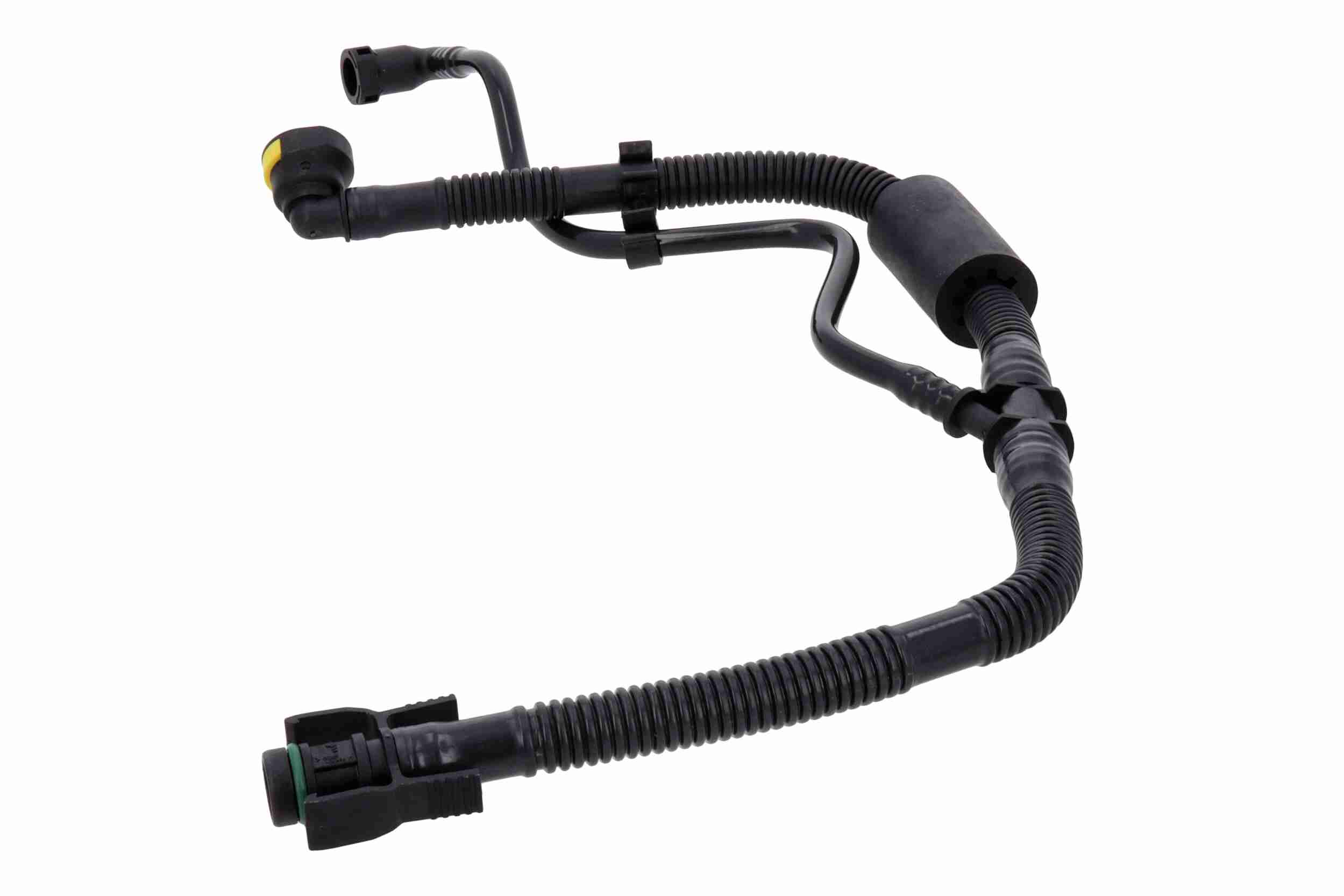 Vaico Olieslang V22-1302