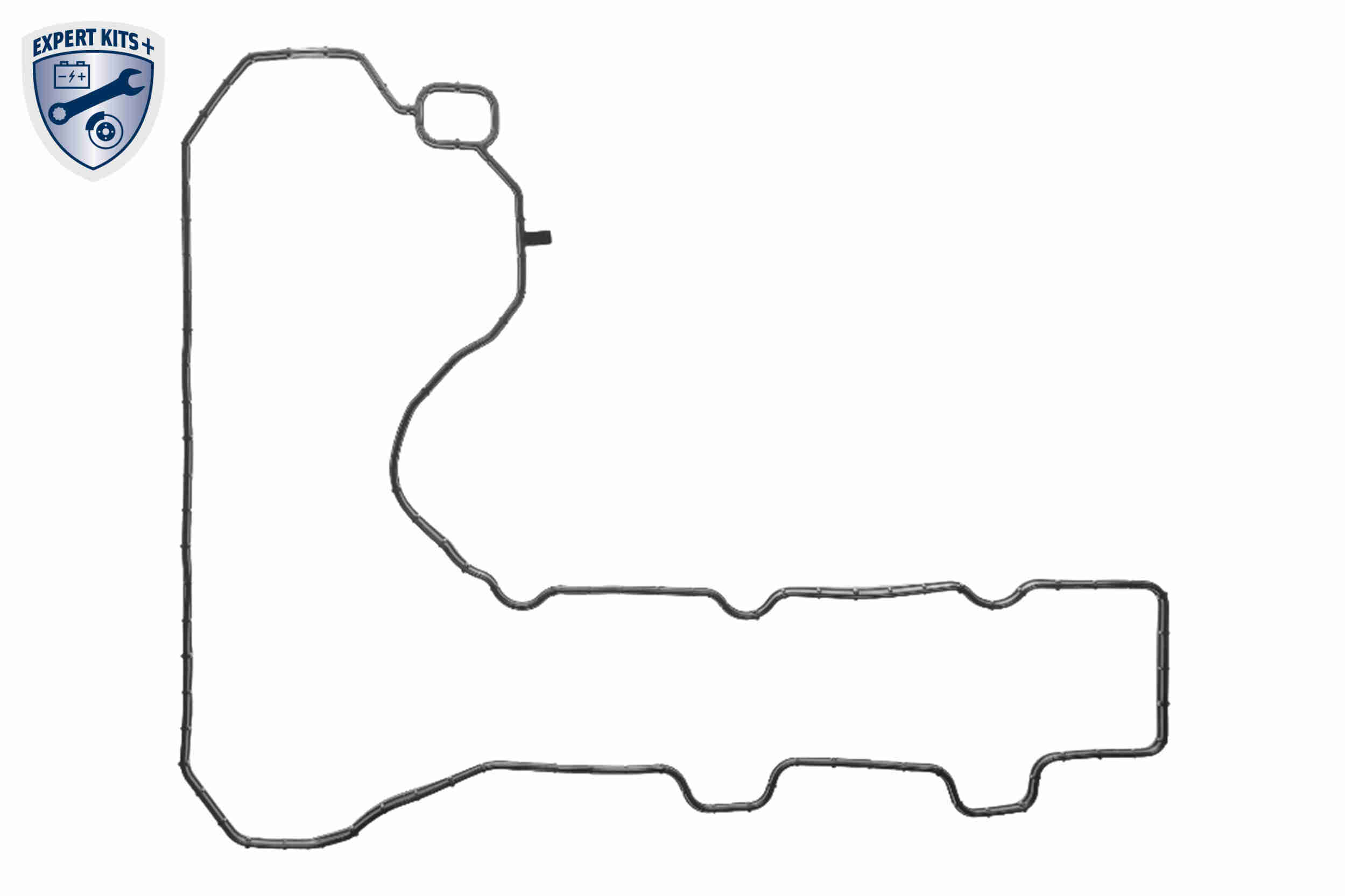 Vaico Distributieriemset V22-1329