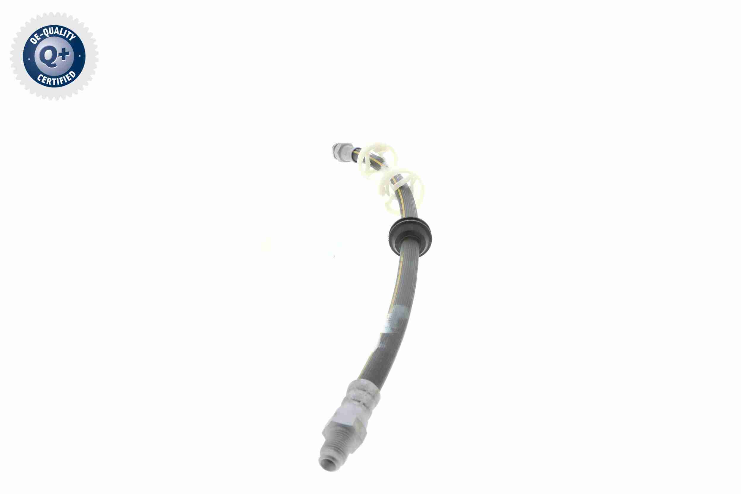 Vaico Remslang V24-0081