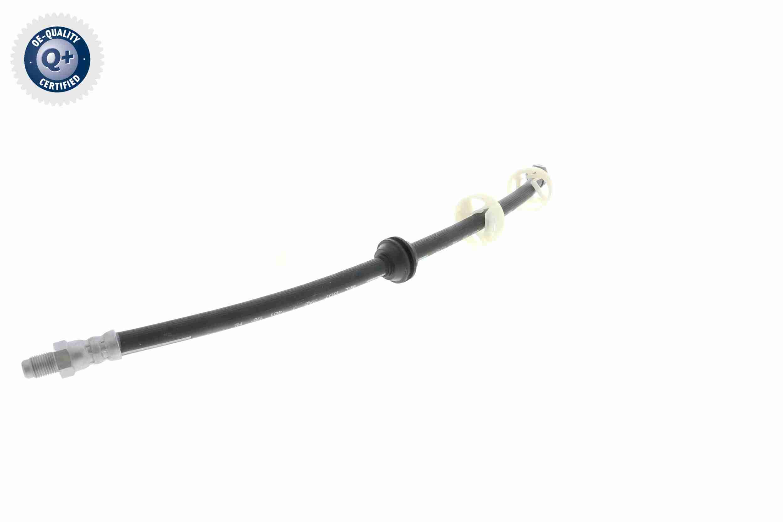 Vaico Remslang V24-0081