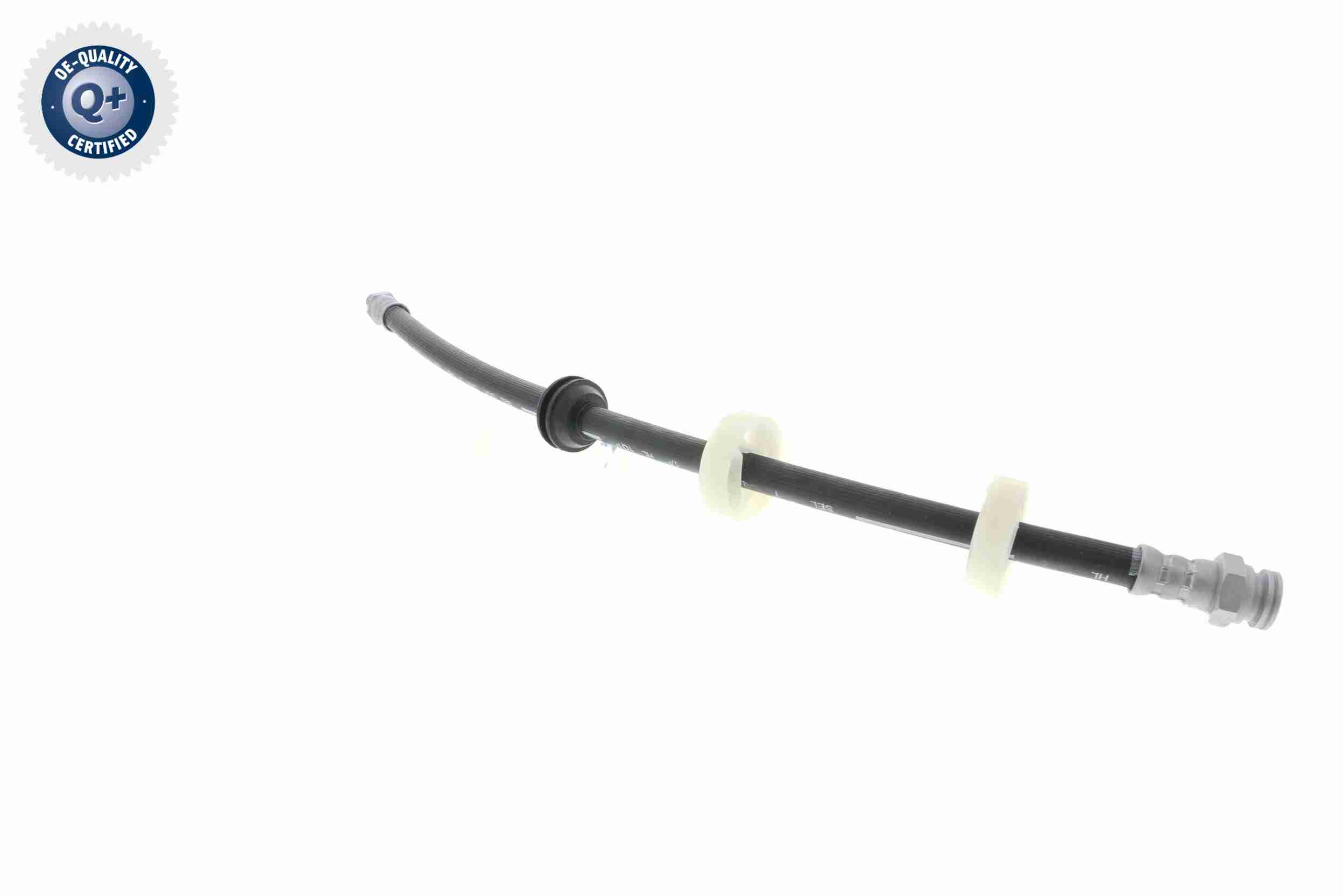 Vaico Remslang V24-0081