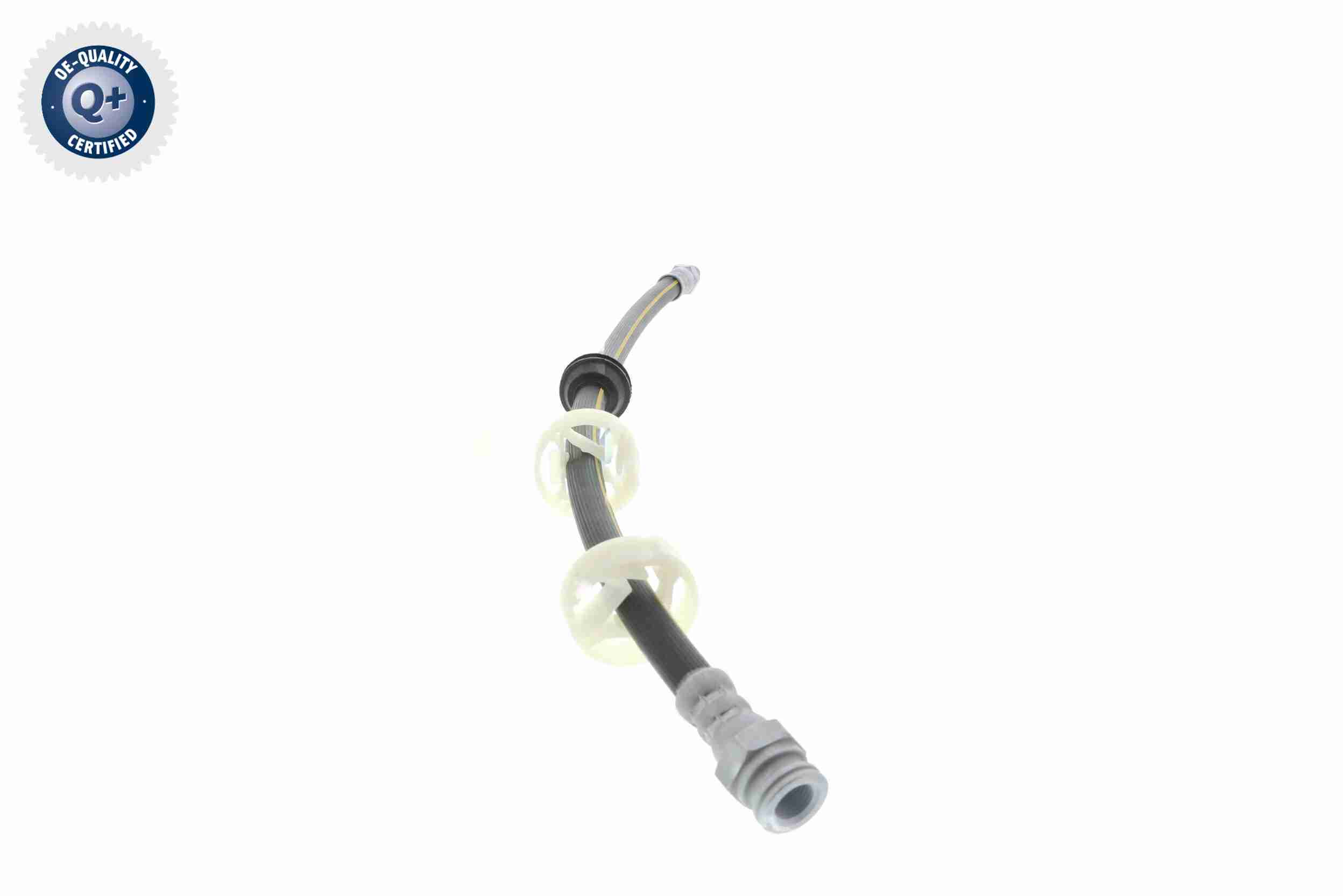 Vaico Remslang V24-0081