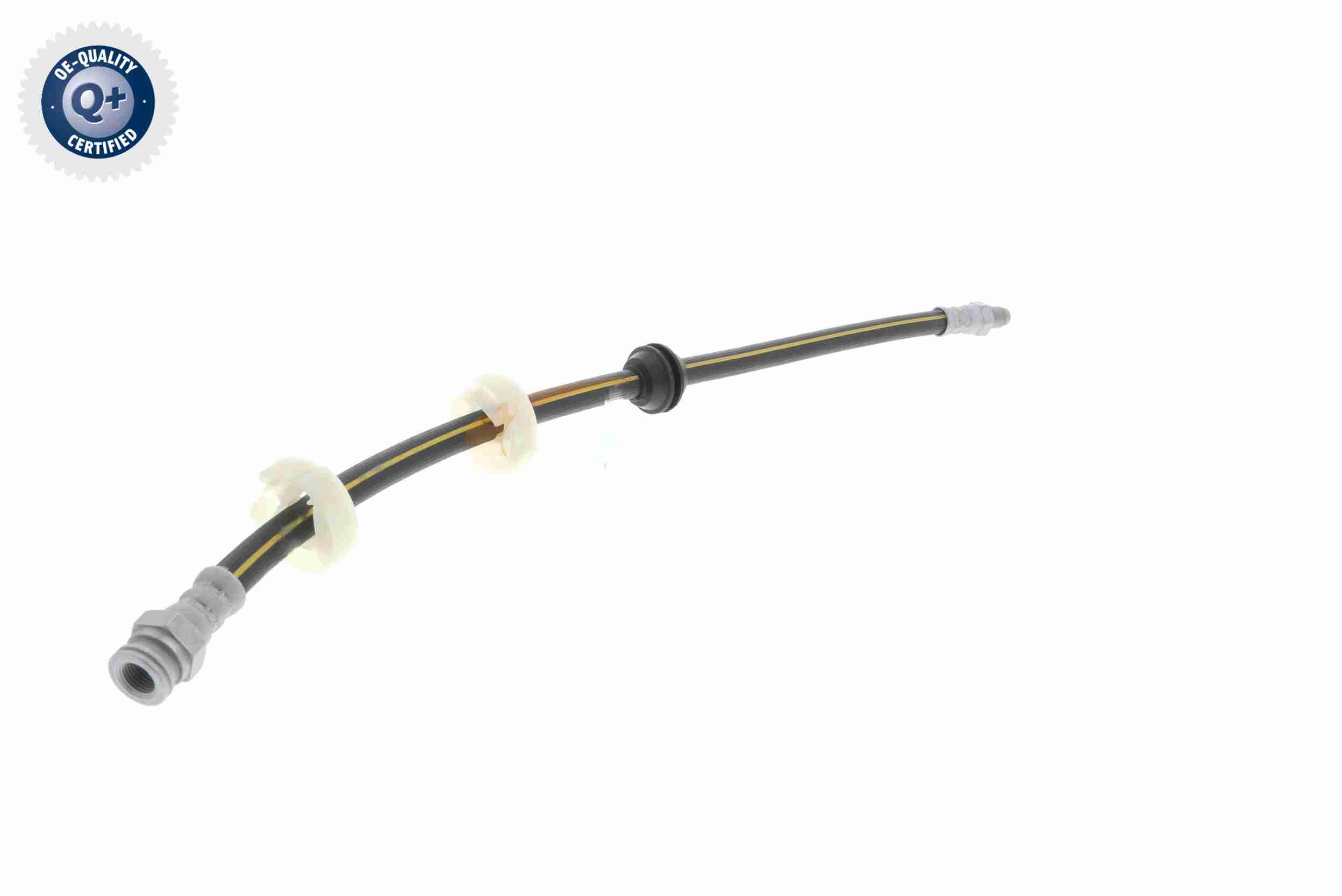 Vaico Remslang V24-0081