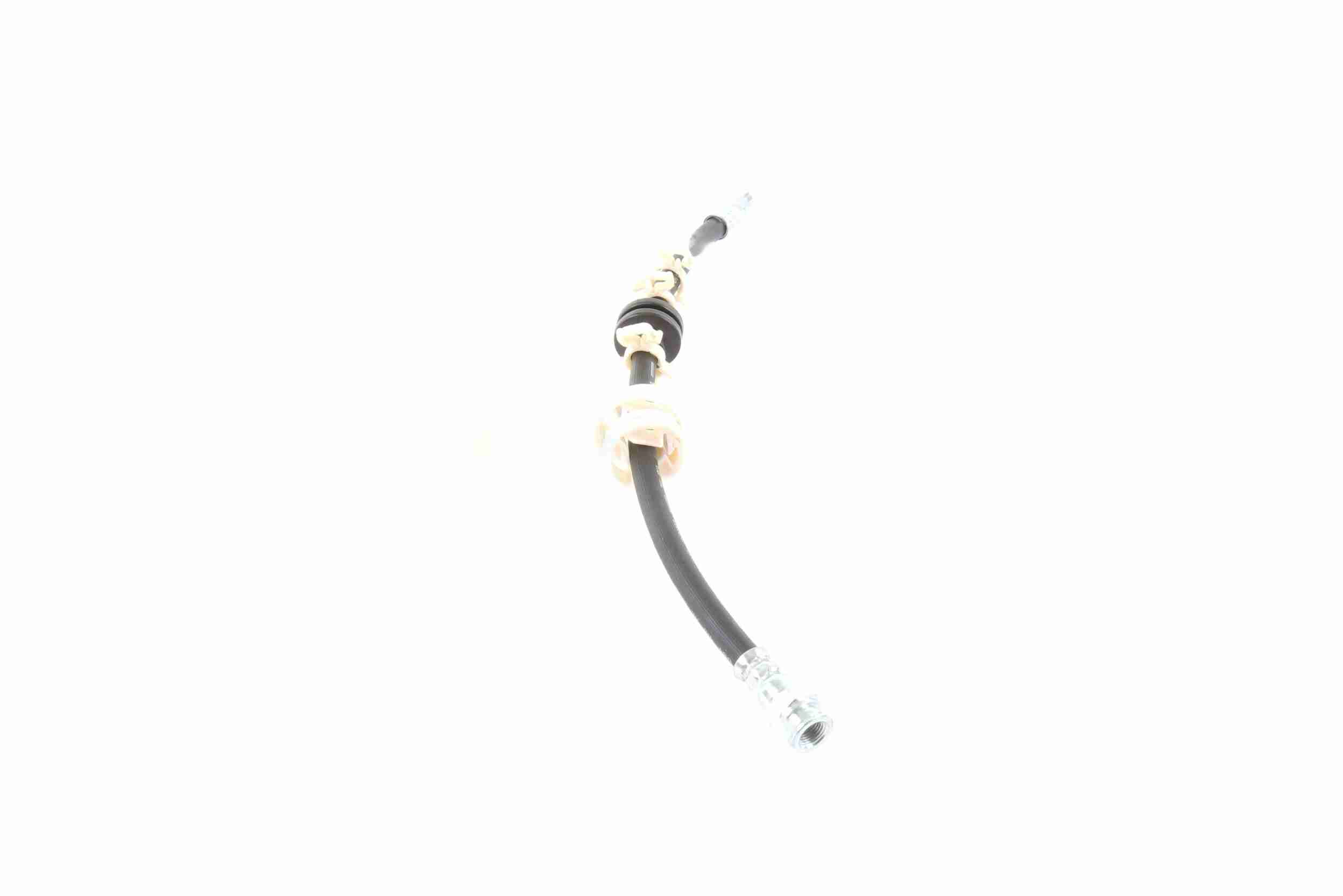 Vaico Remslang V24-0085