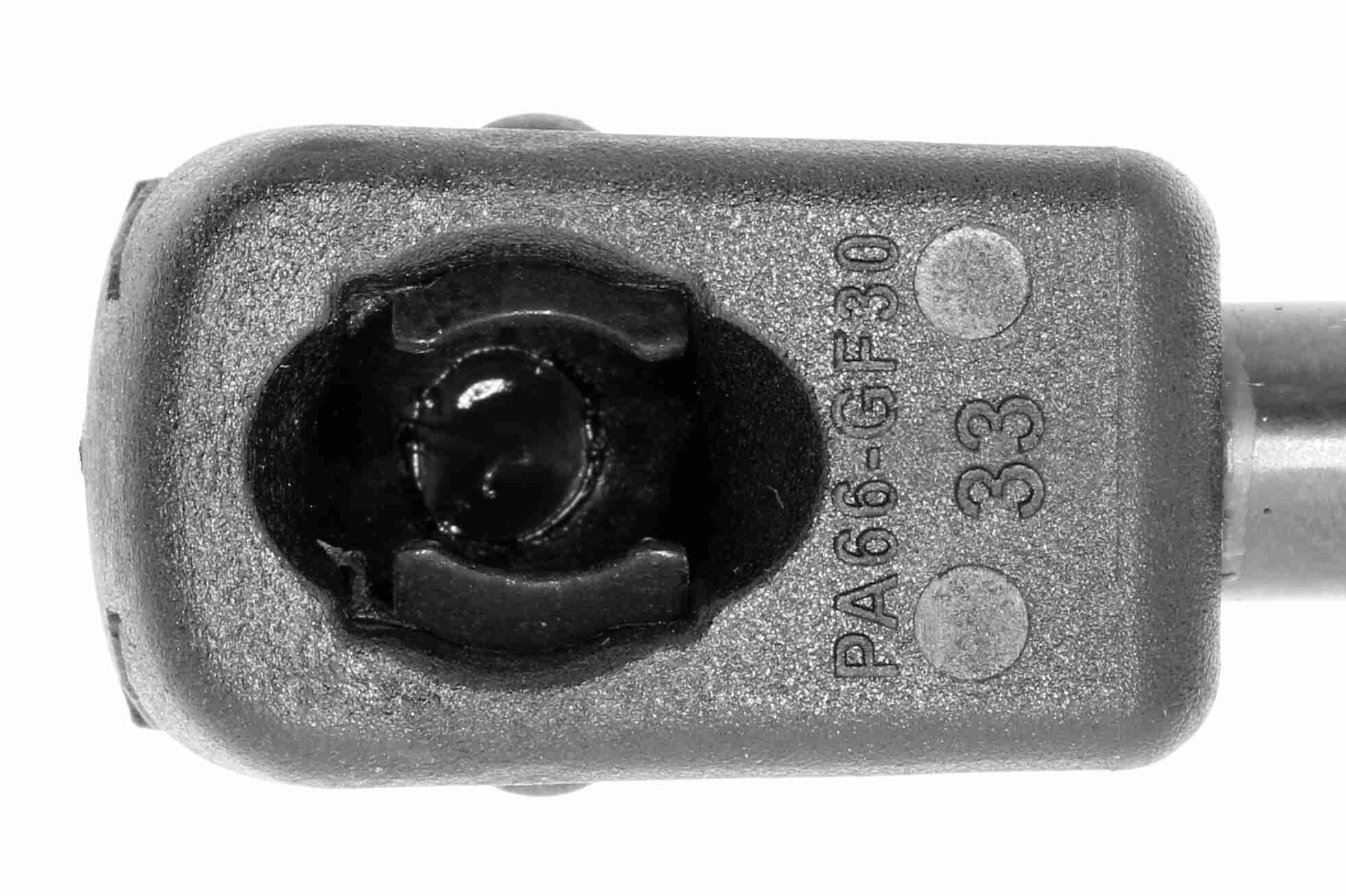 Vaico Gasveer, motorkap V24-0193