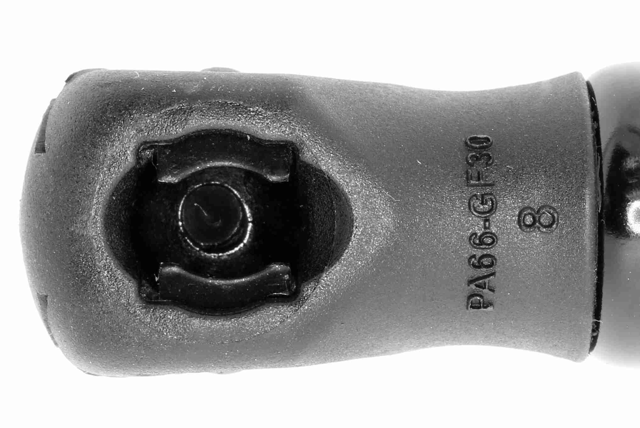 Vaico Gasveer, motorkap V24-0193