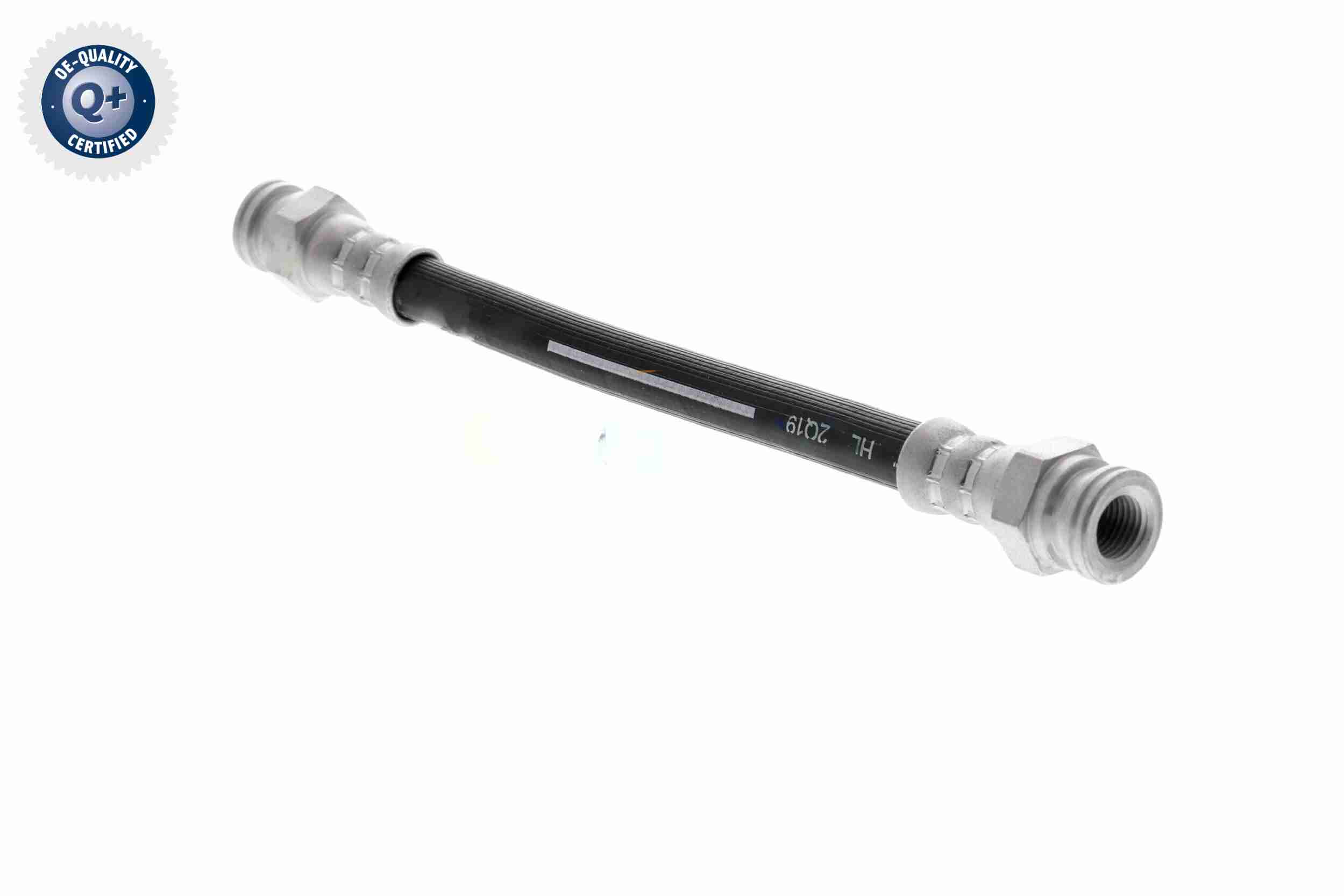 Vaico Remslang V24-0611