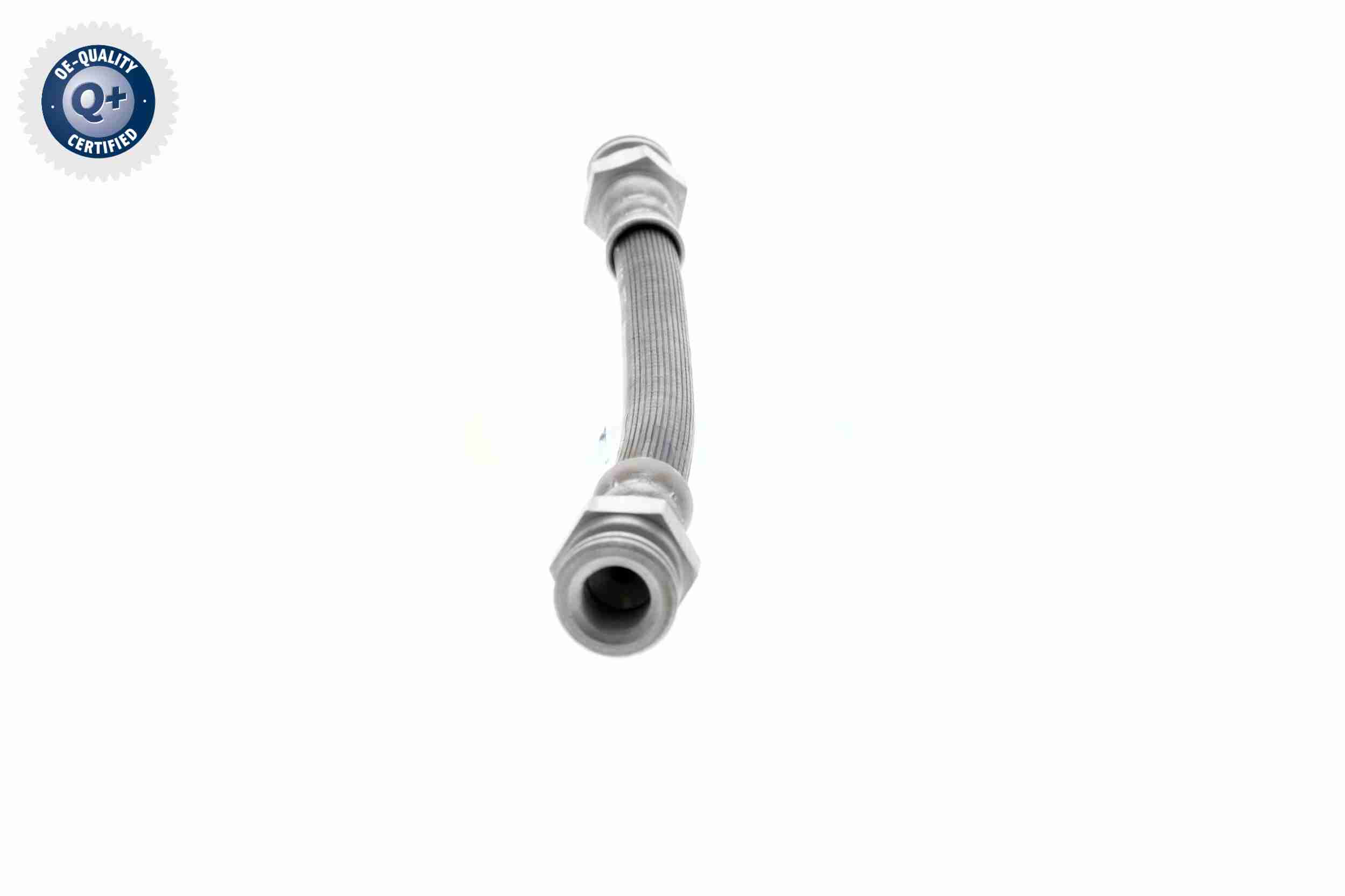 Vaico Remslang V24-0611