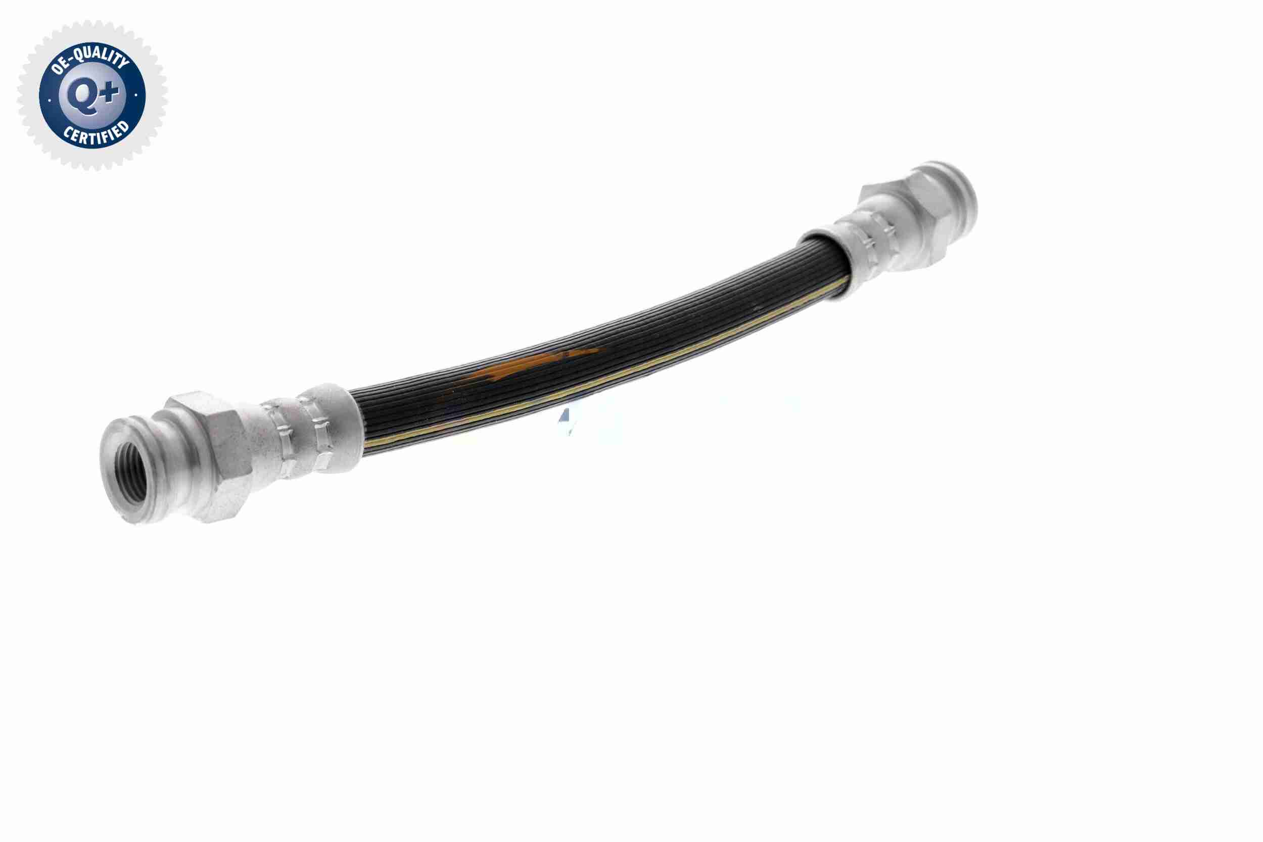 Vaico Remslang V24-0611