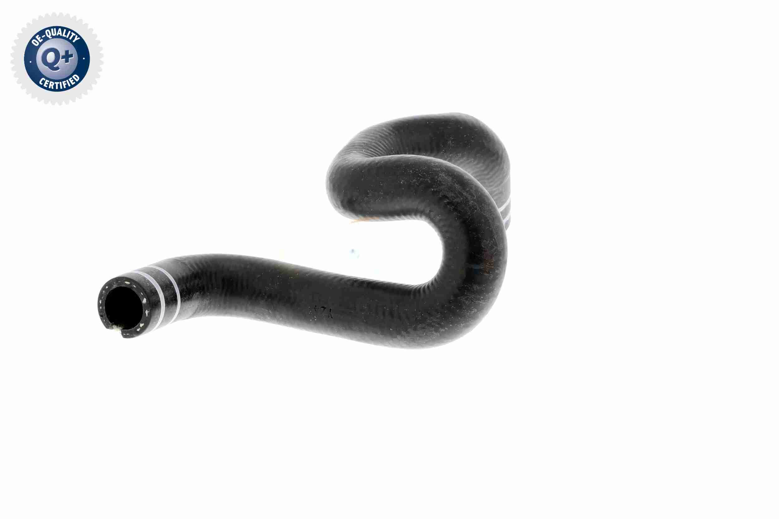 Vaico Radiateurslang V24-0806