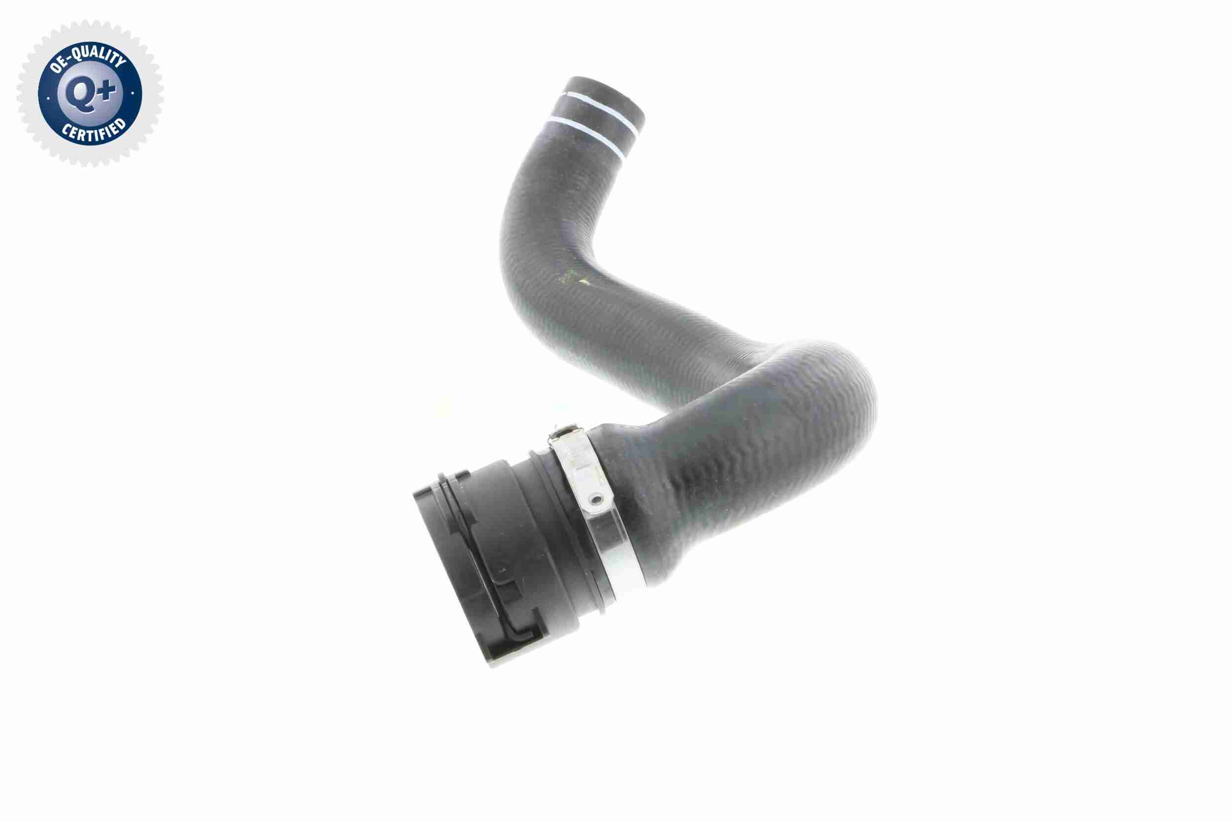 Vaico Radiateurslang V24-0822