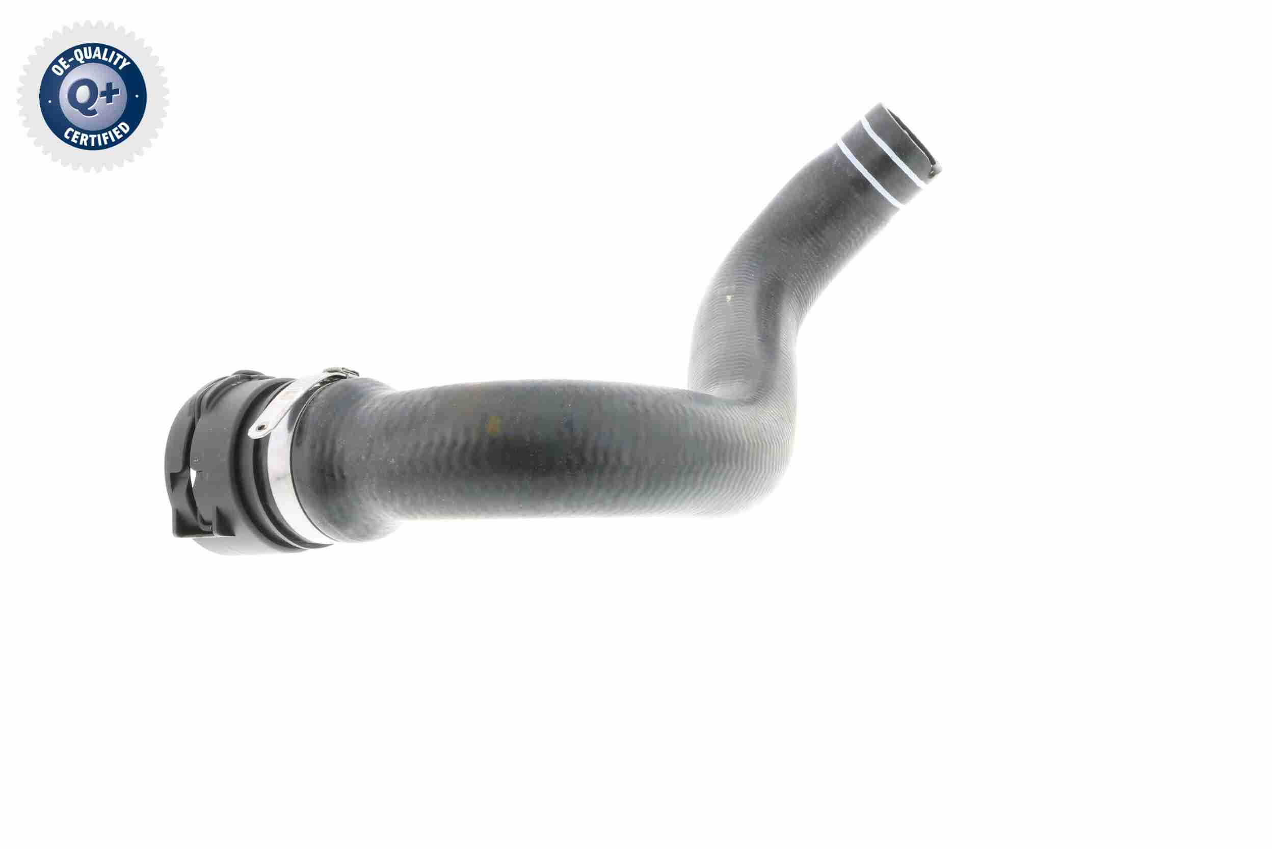 Vaico Radiateurslang V24-0822