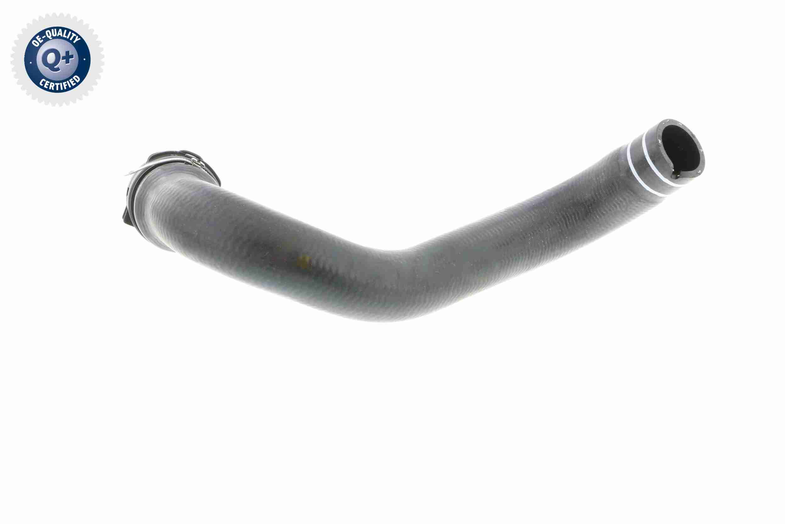 Vaico Radiateurslang V24-0822