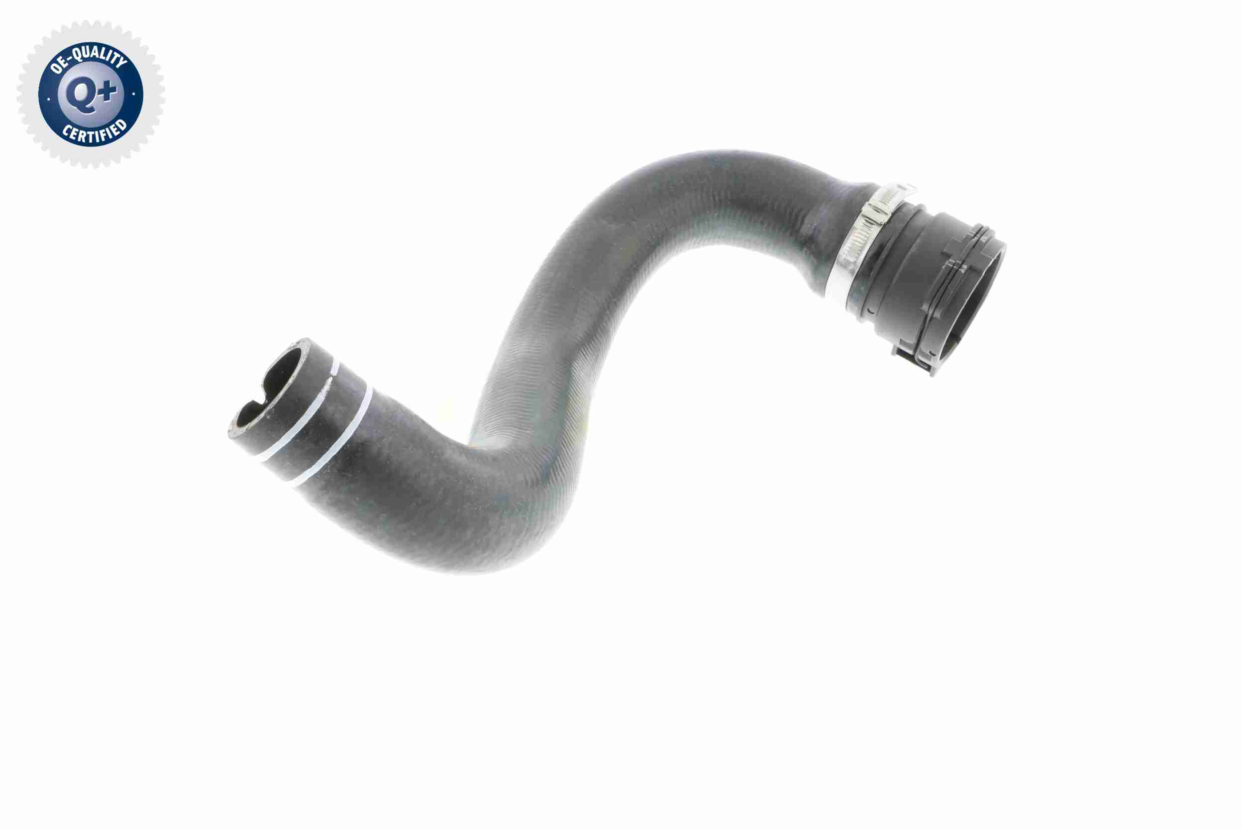 Vaico Radiateurslang V24-0822