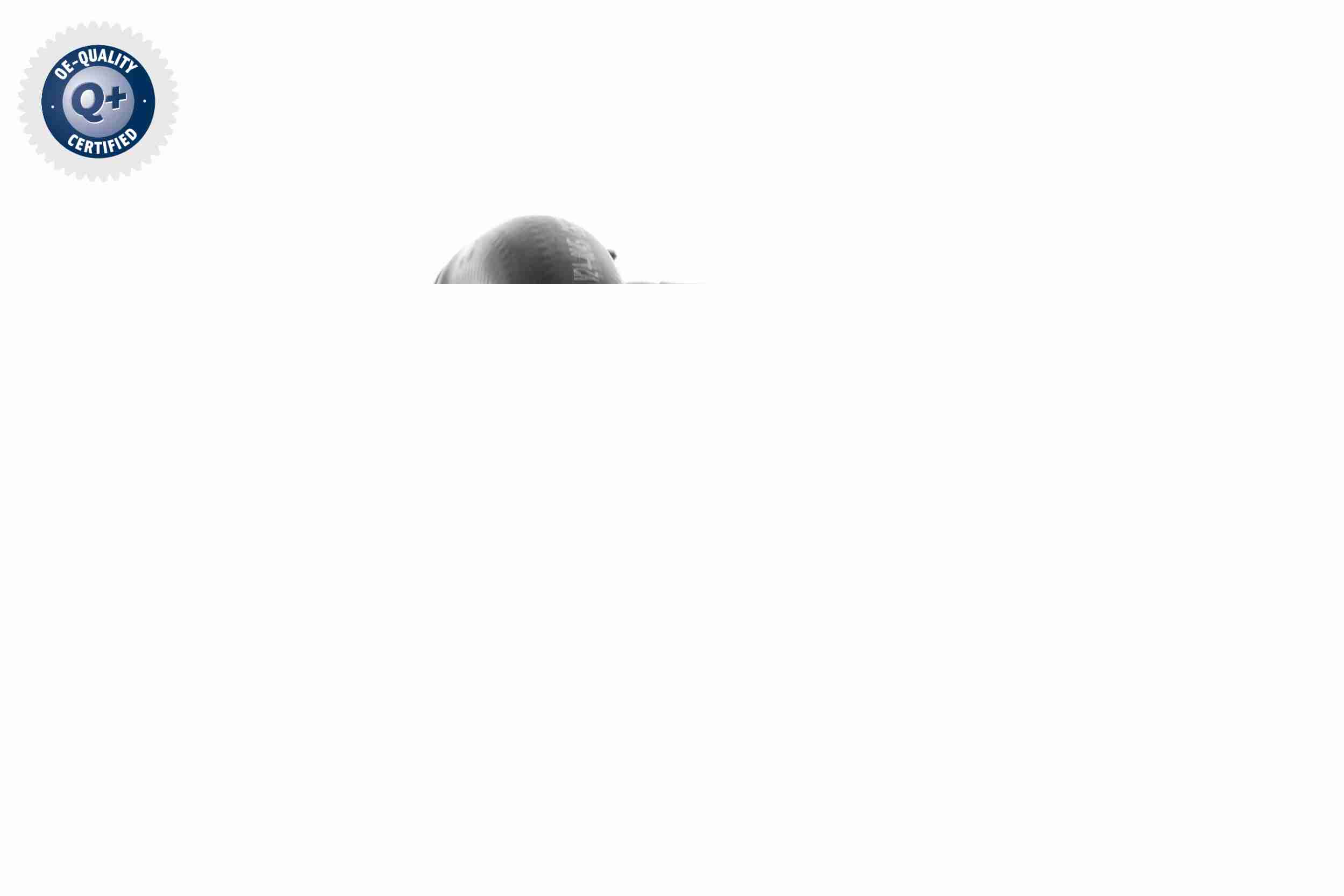 Vaico Radiateurslang V24-0845